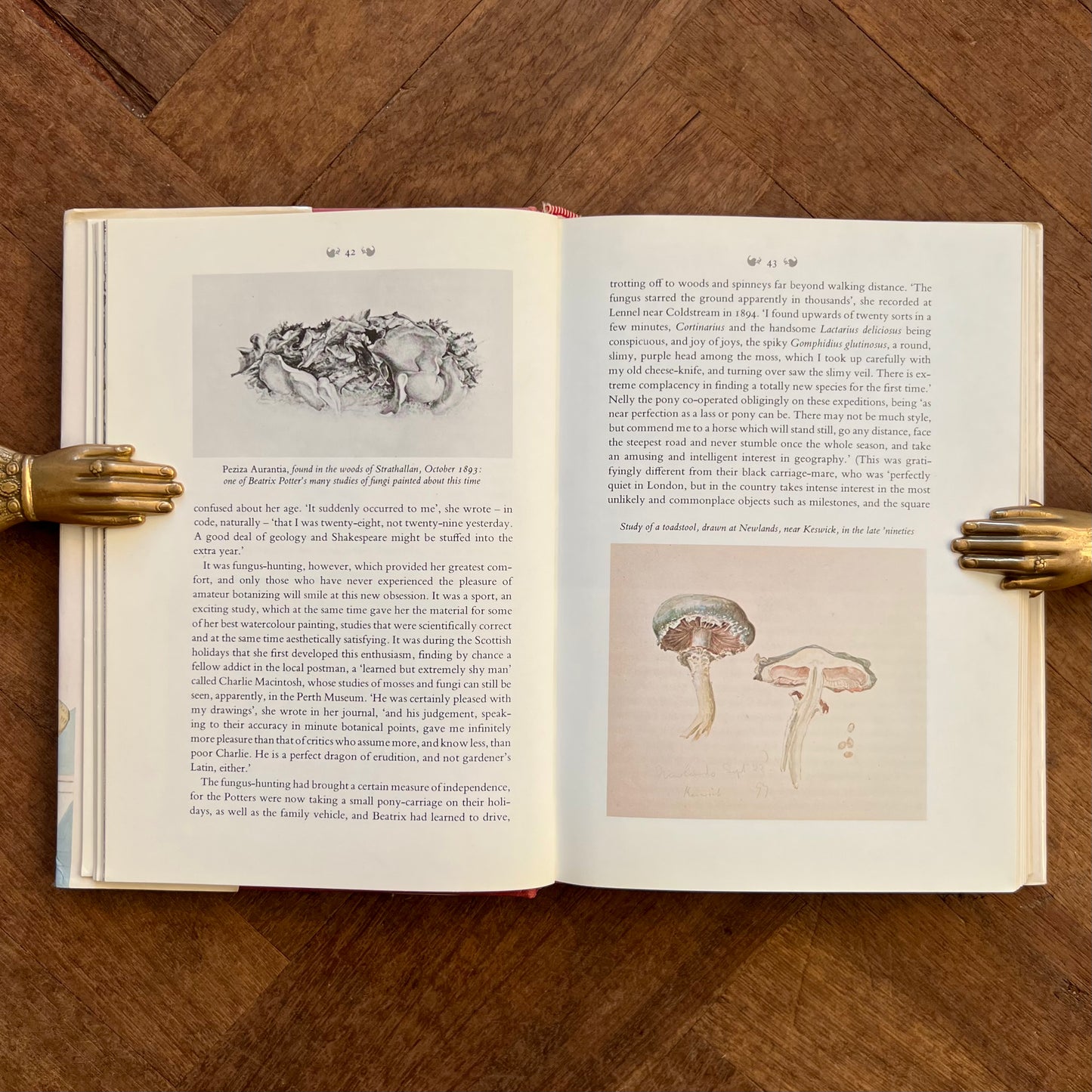 The Magic Years of Beatrix Potter (1978 First Edition) – Margaret Lane