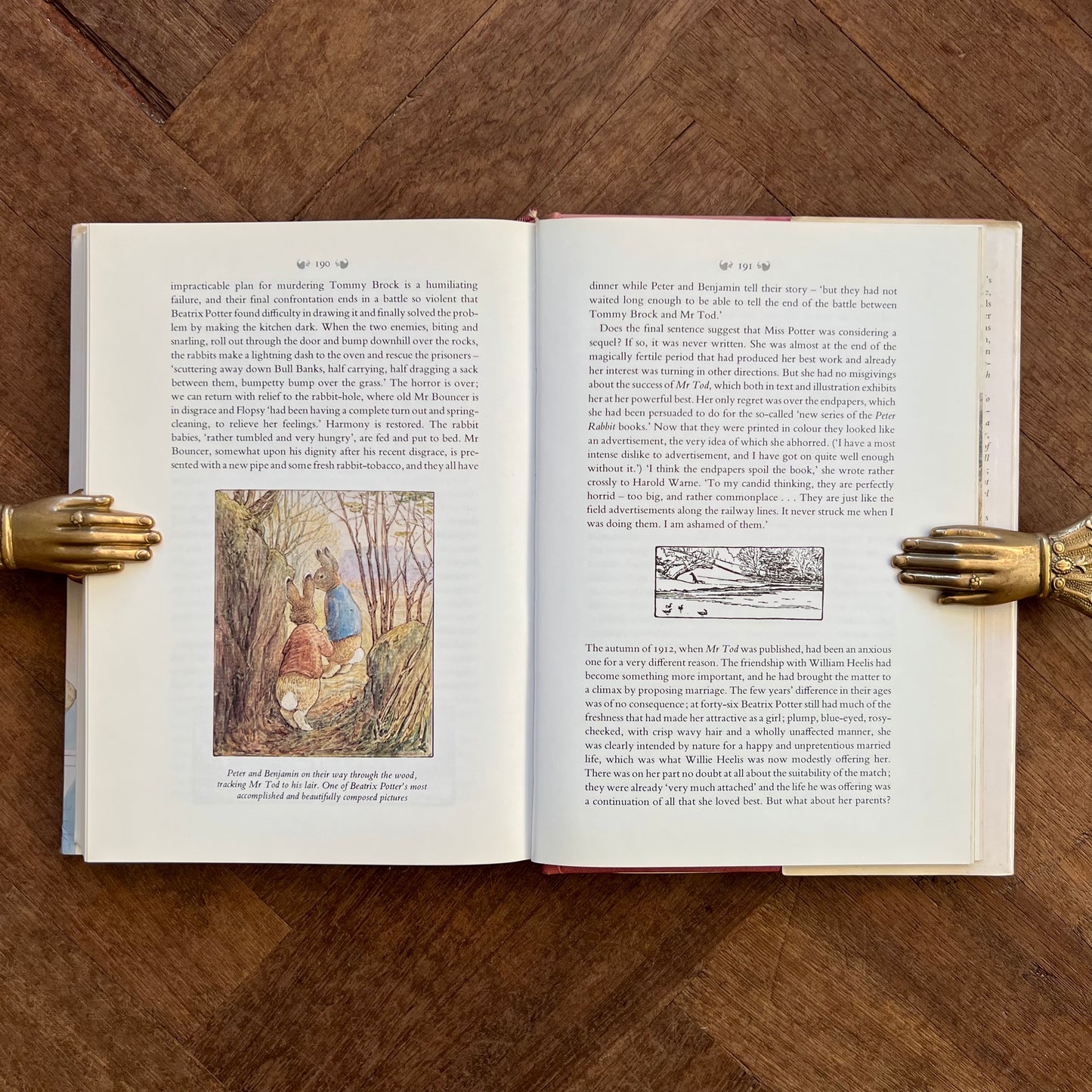 The Magic Years of Beatrix Potter (1978 First Edition) – Margaret Lane