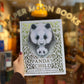 The Panda's Child (Double Signed) – Jackie Morris and Cathy Fisher