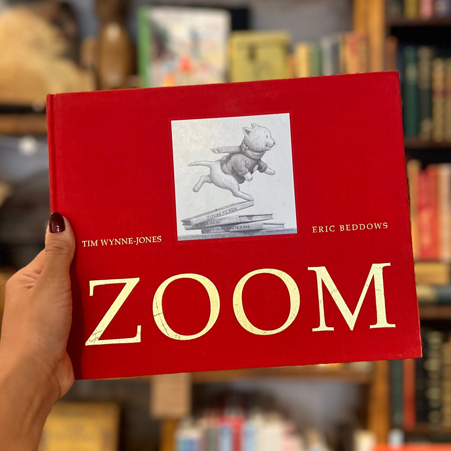 Zoom – Tom Wynne-Jones, Eric Beddows