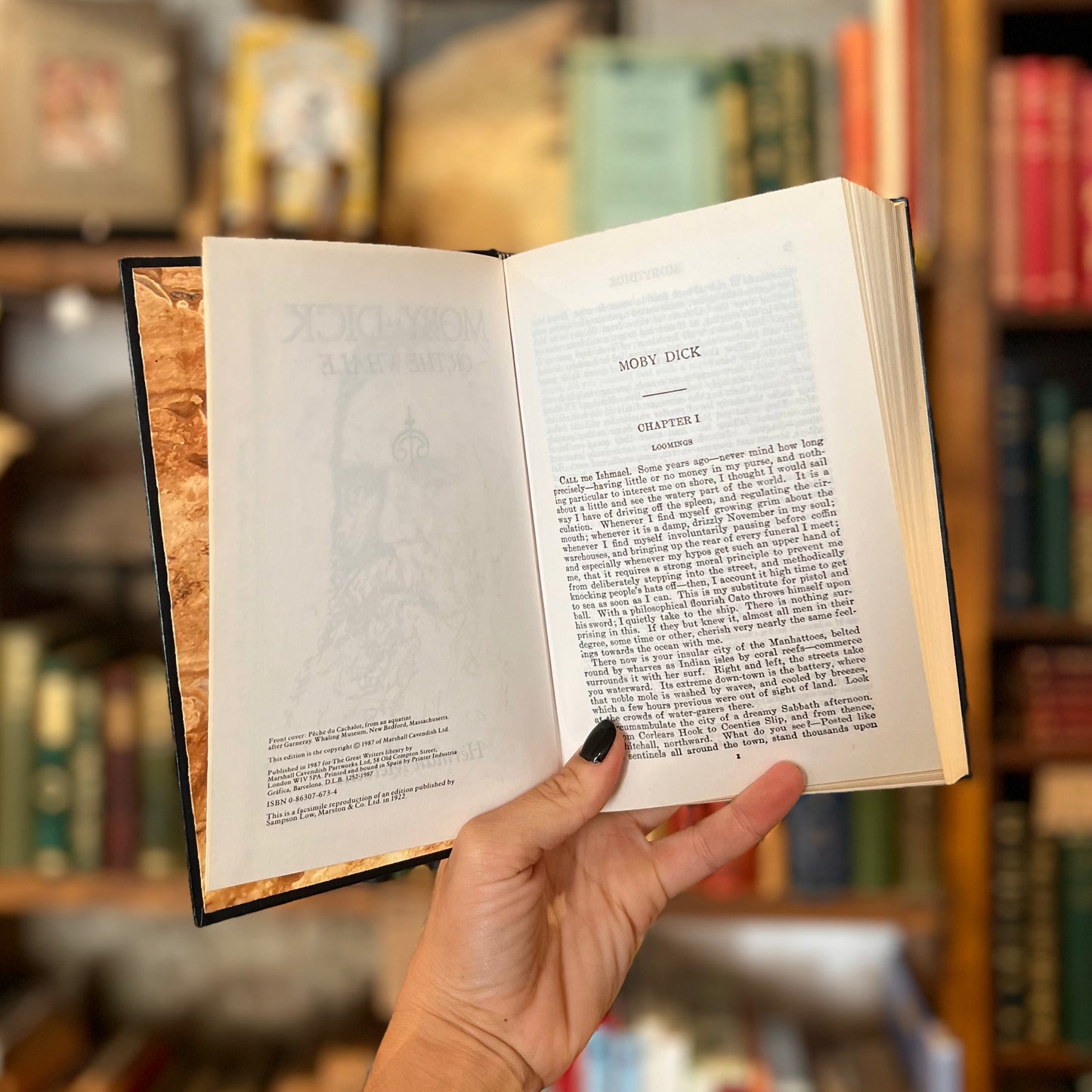 Moby Dick (The Great Writers Library) – Herman Melville