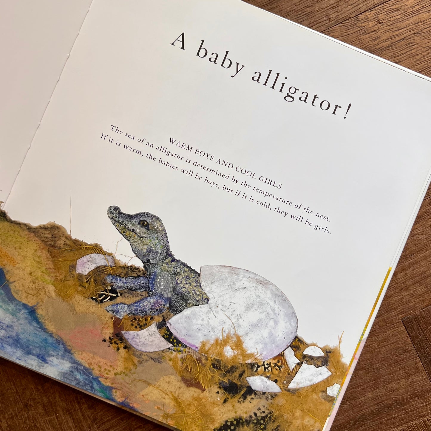 Who is in the Egg? (Signed First Edition) – Alexandra Milton