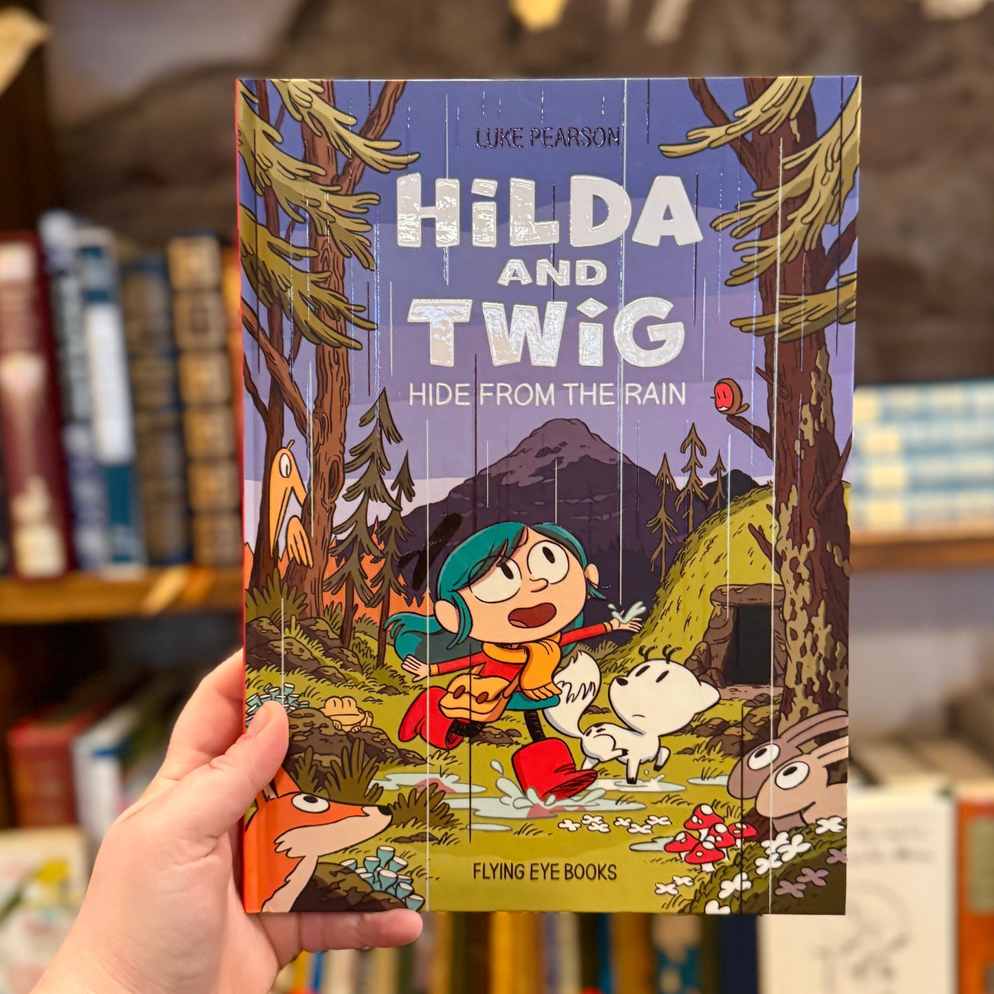 Hilda and Twig Hide From the Rain – Luke Pearson