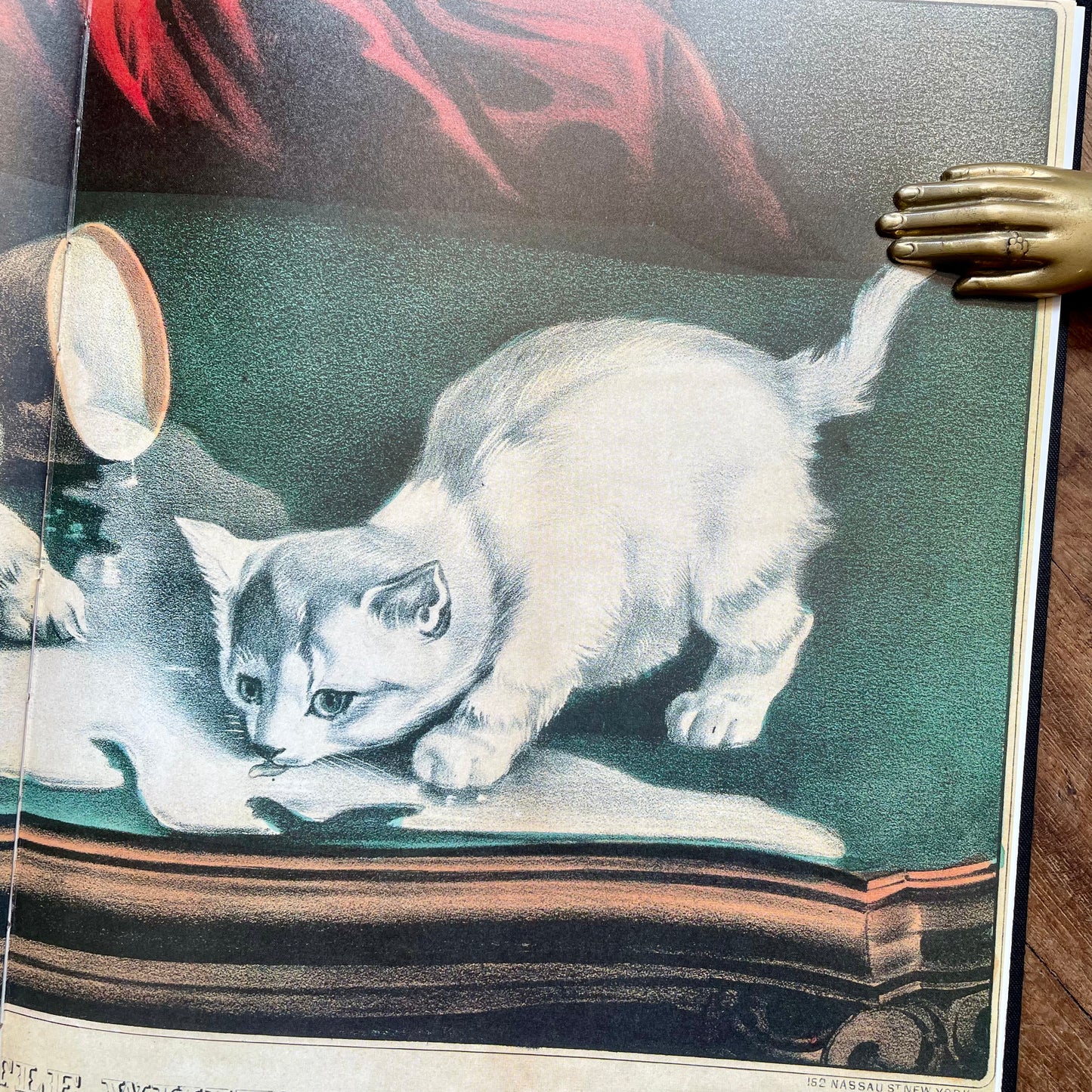 Favourite Cats (MoMA, 1988) – John P. O'Neill