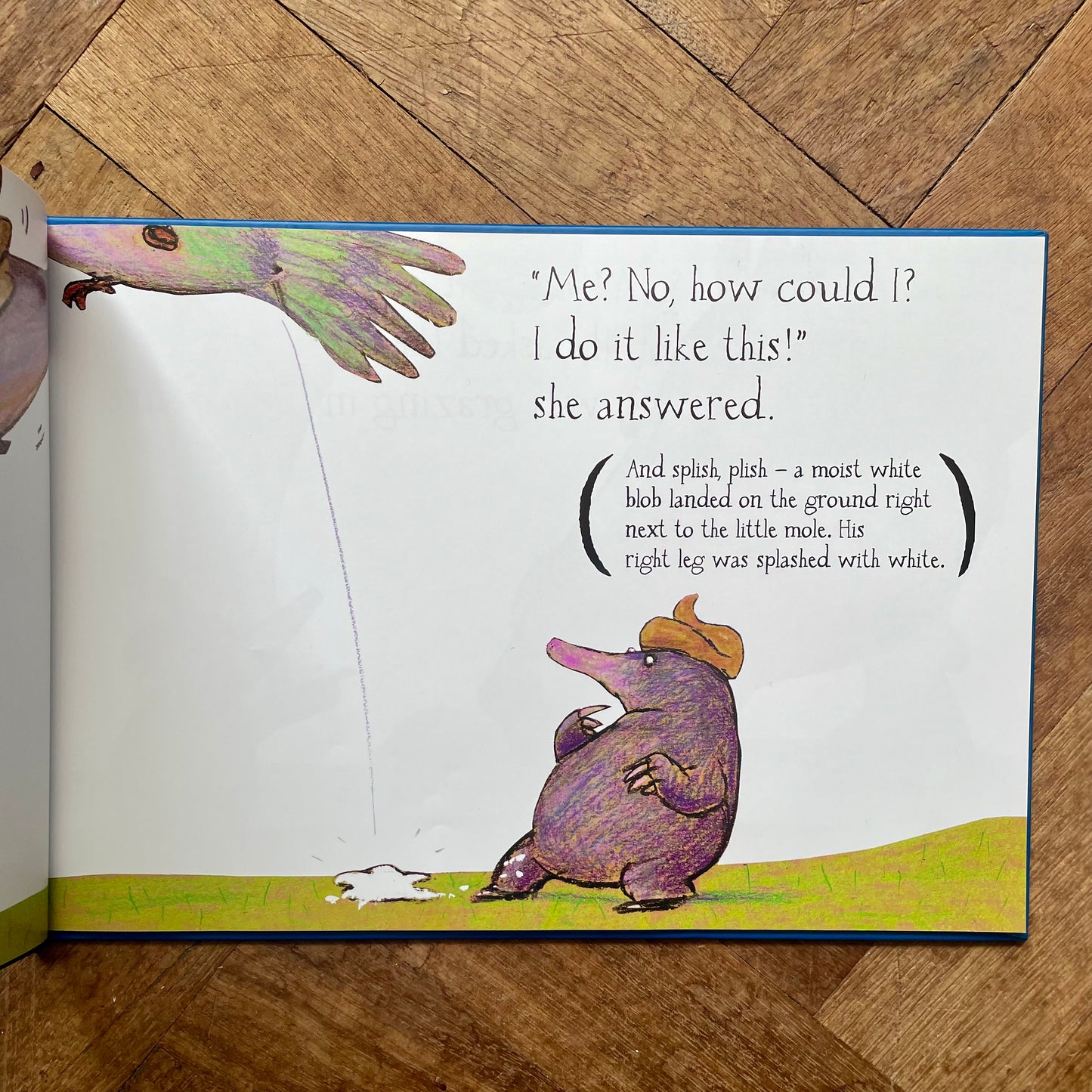 The Story of the Little Mole Who Knew It Was None of His Business (35th Anniversary Edition) –  Werner Holzwarth, Wolf Erlbruch