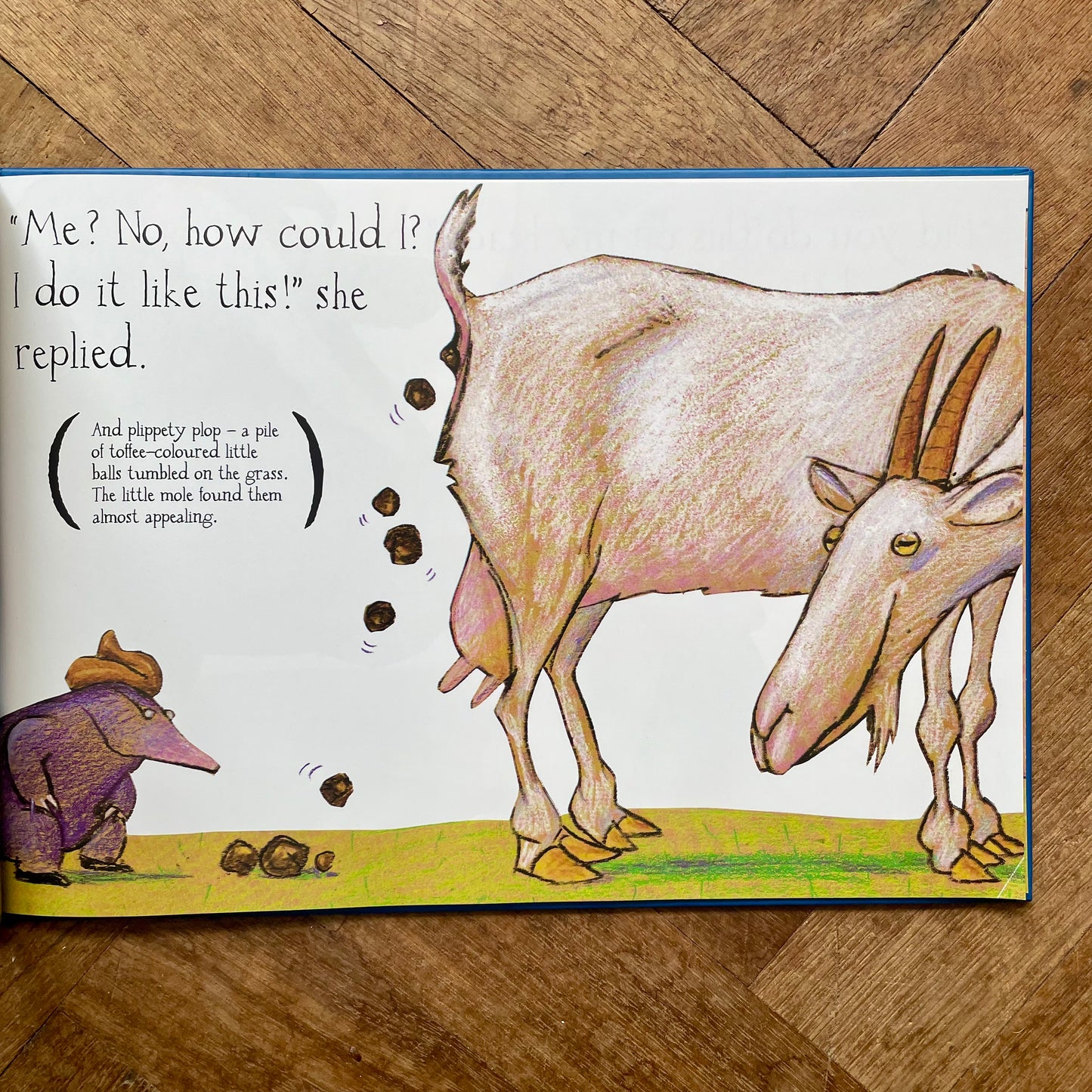 The Story of the Little Mole Who Knew It Was None of His Business (35th Anniversary Edition) –  Werner Holzwarth, Wolf Erlbruch