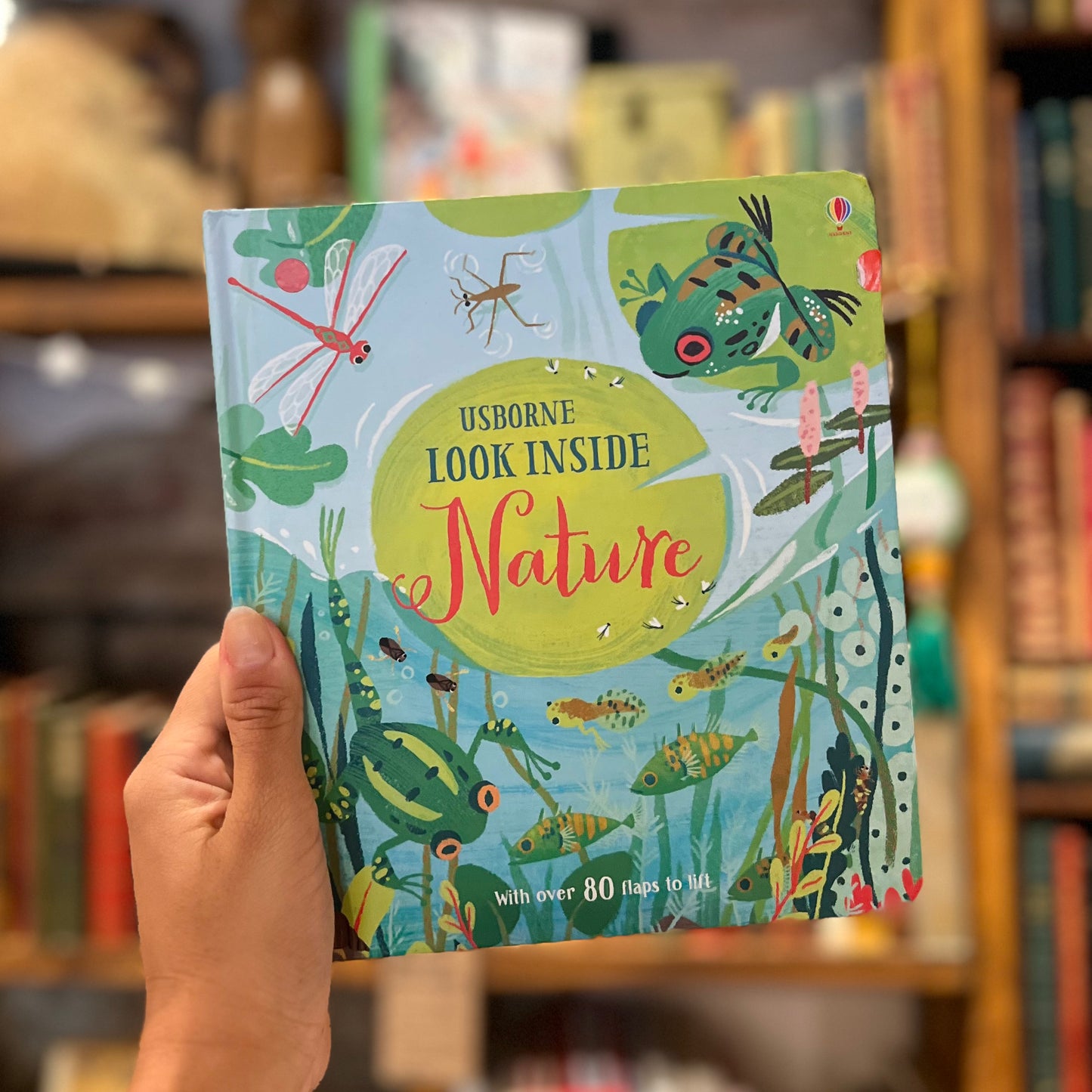 Usborne Look Inside: Nature – Carolina Búzio, Minna Lacey