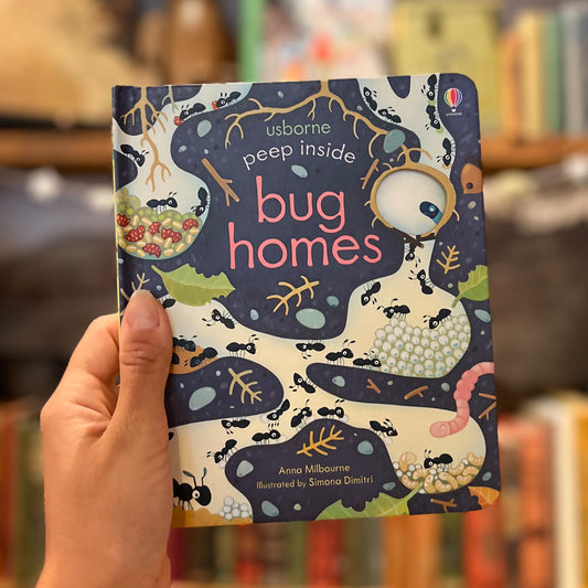 Usborne Peep Inside: Bug Homes – Anna Milbourne, Simona Dimitri