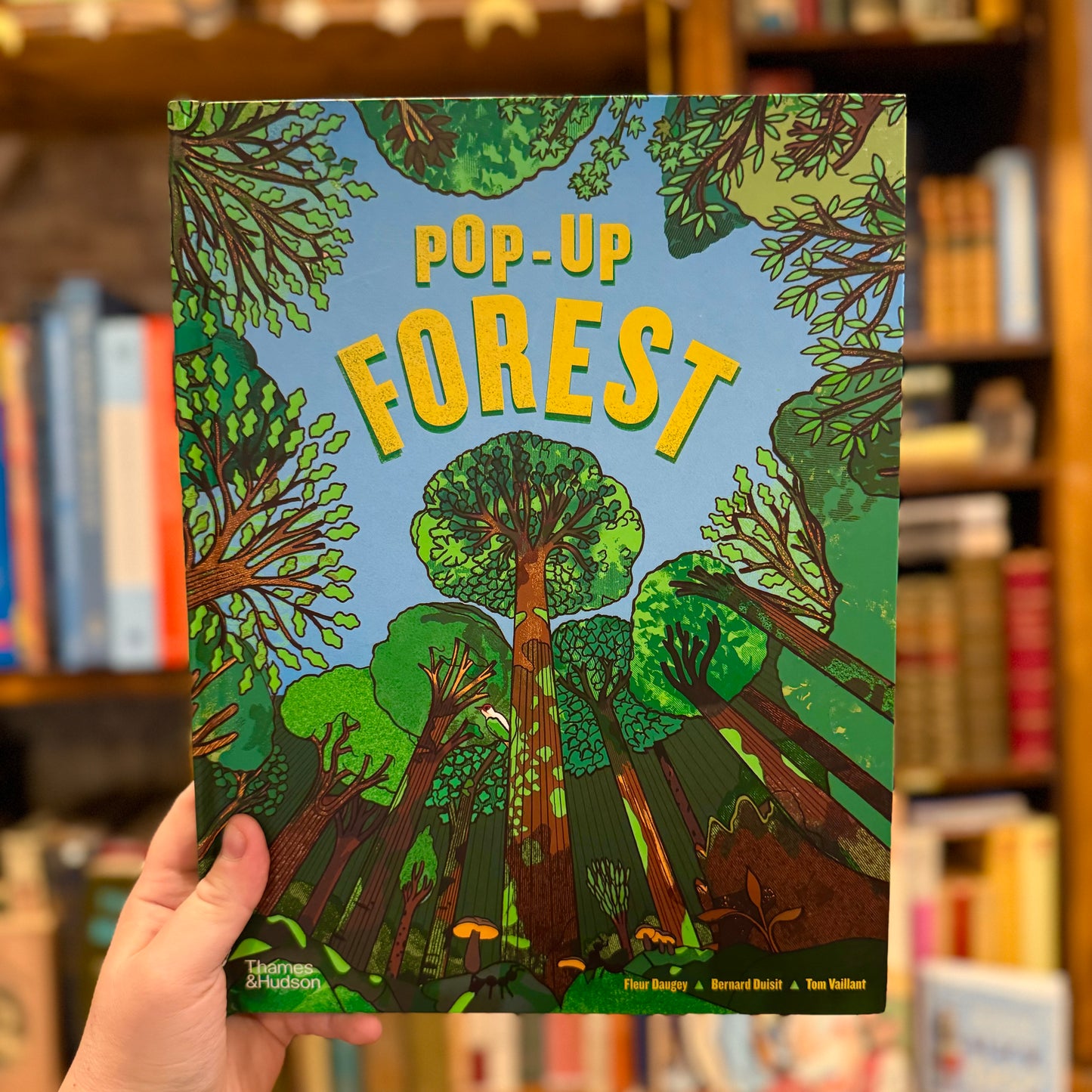 Pop-Up Forest – Fleur Daugey, Bernard Duisit and Tom Vaillat