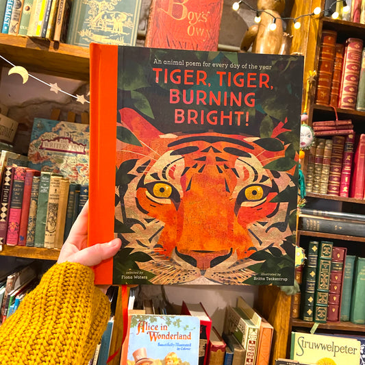 Tiger, Tiger, Burning Bright! – Fiona Walters and Britta Tentenkamp