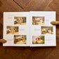 The Complete Peter Rabbit: Deluxe Edition – Beatrix Potter