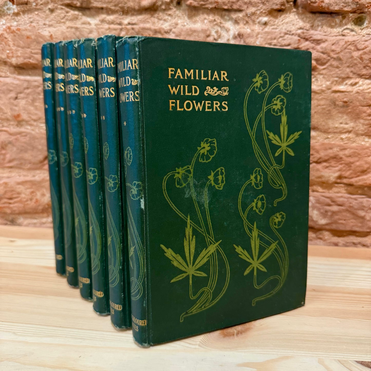Familiar Wild Flowers (6 Volumes with Coloured Plates) – F. Edward Hume