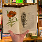 Familiar Wild Flowers (6 Volumes with Coloured Plates) – F. Edward Hume
