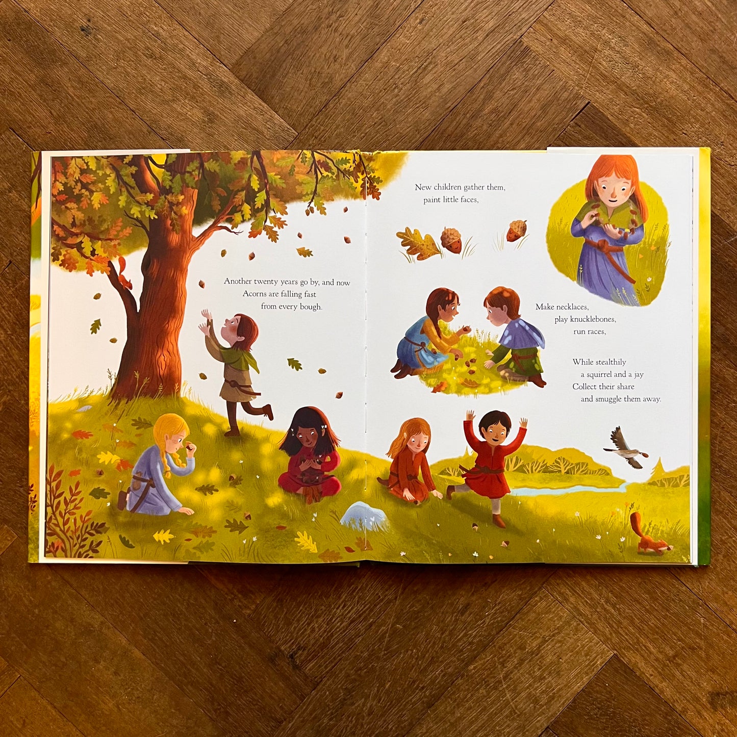 The Oak Tree – Julia Donaldson, Victoria Sandoy