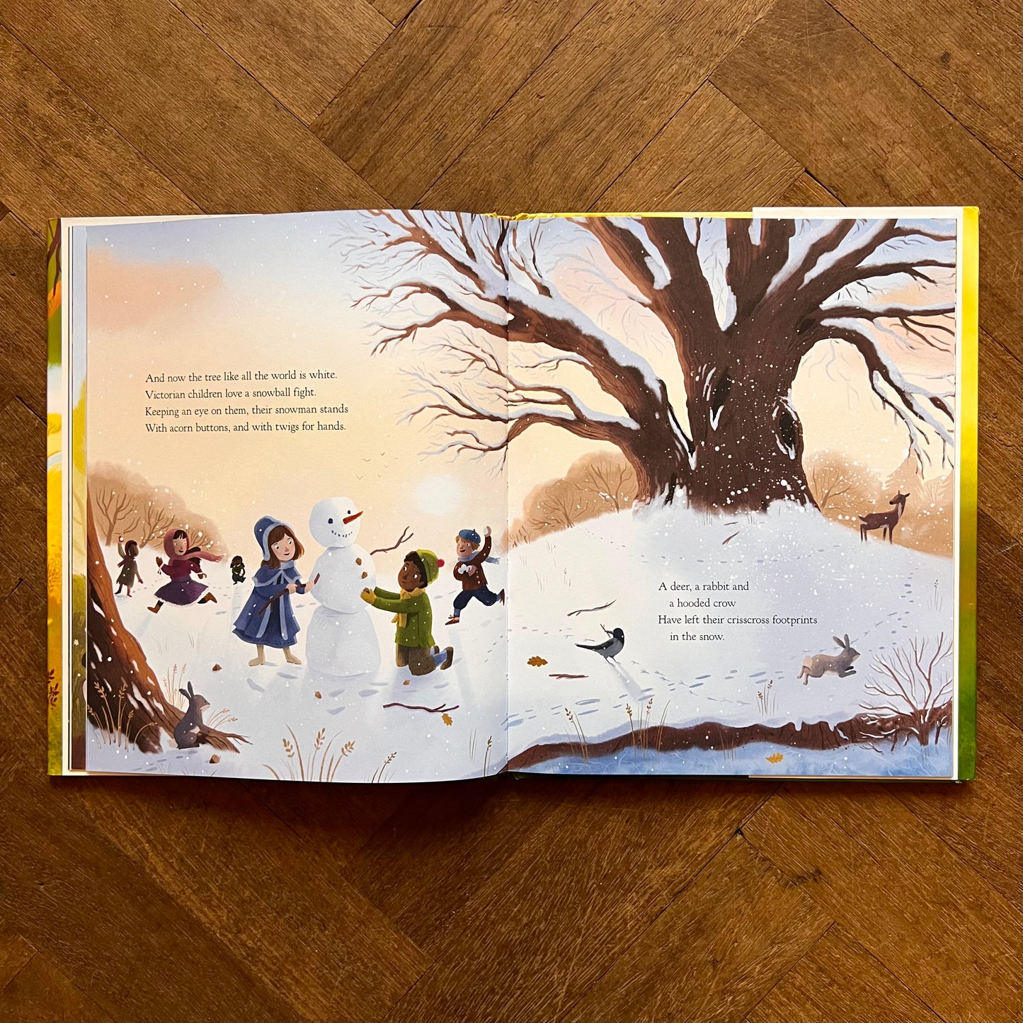 The Oak Tree – Julia Donaldson, Victoria Sandoy