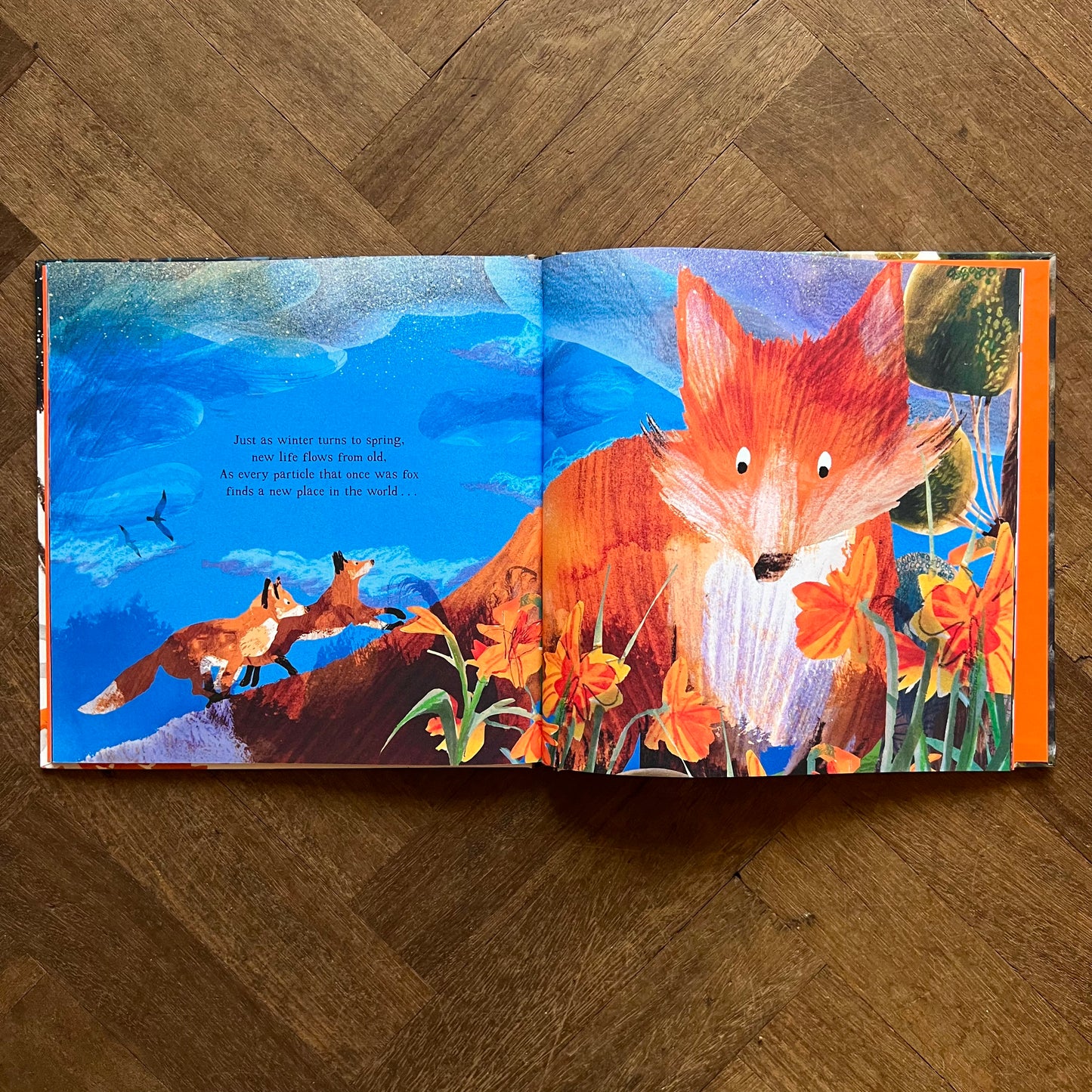 Fox – Isabel Thomas, Daniel Egneus