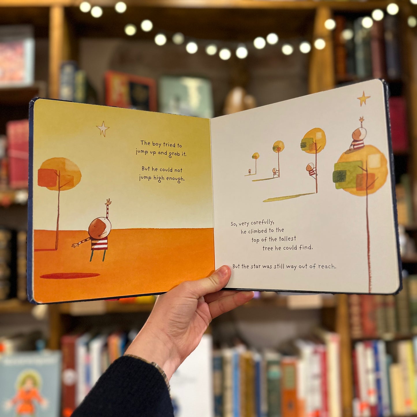 How to Catch a Star – Oliver Jeffers (boardbook)