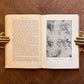 The Renaissance in Italian Art (9 Volume Set) – Selwyn Brinton