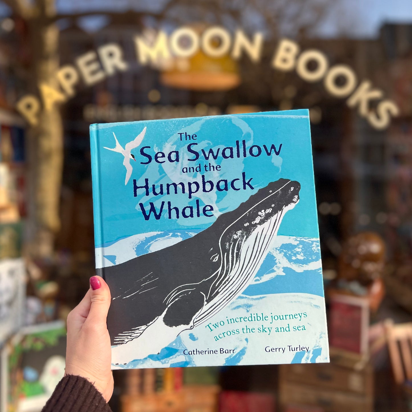The Sea Swallow and the Humpback Whale (2021 First Edition) – Catherine Barr, Gerry Turley