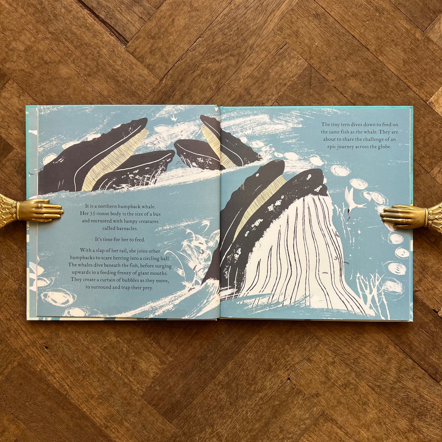 The Sea Swallow and the Humpback Whale (2021 First Edition) – Catherine Barr, Gerry Turley