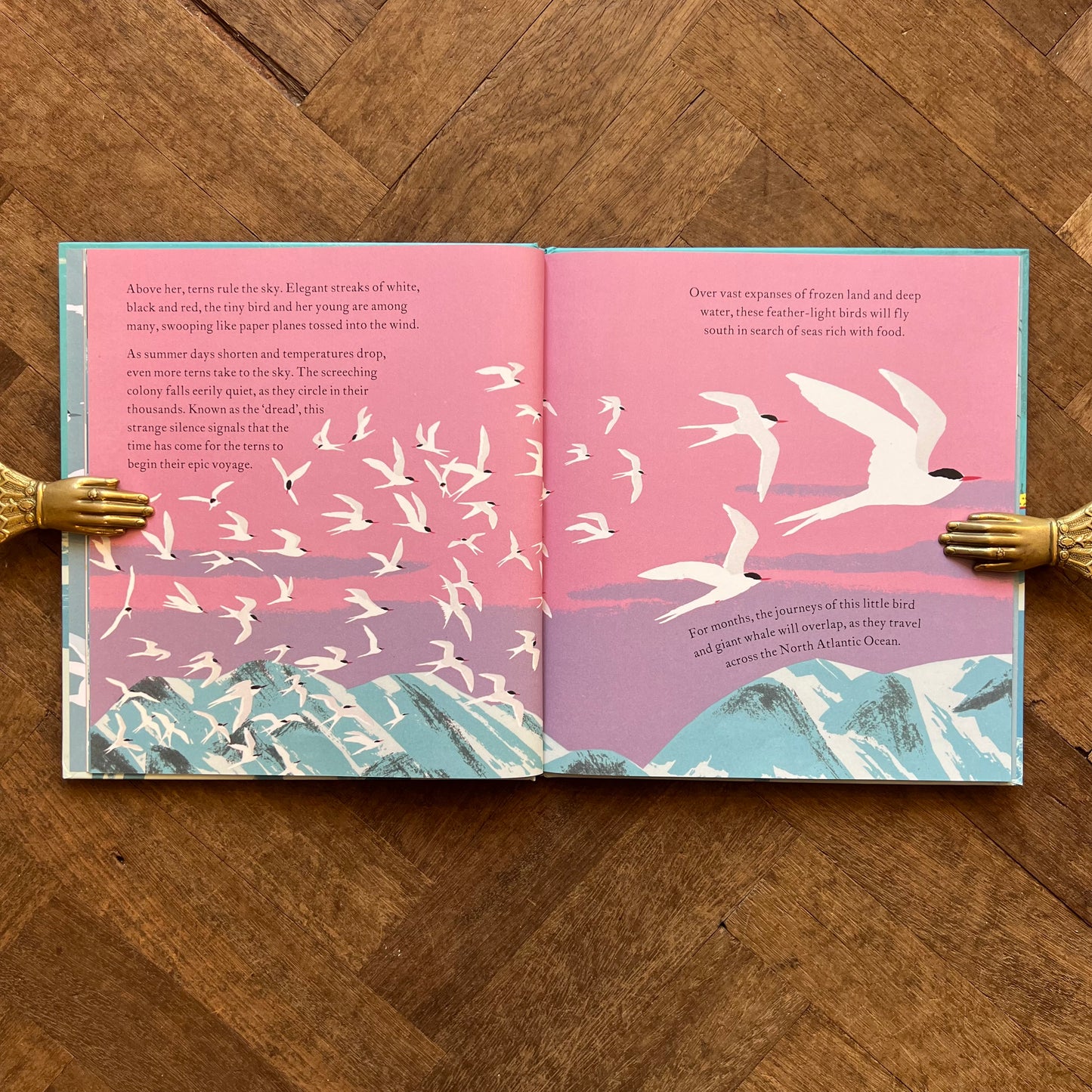 The Sea Swallow and the Humpback Whale (2021 First Edition) – Catherine Barr, Gerry Turley