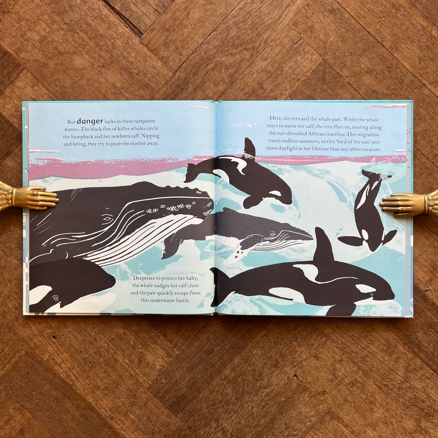 The Sea Swallow and the Humpback Whale (2021 First Edition) – Catherine Barr, Gerry Turley