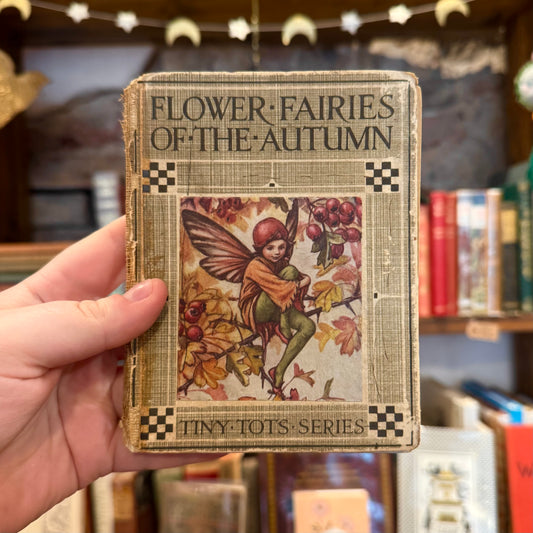 Flower Fairies of the Autumn – Cicely M. Barker