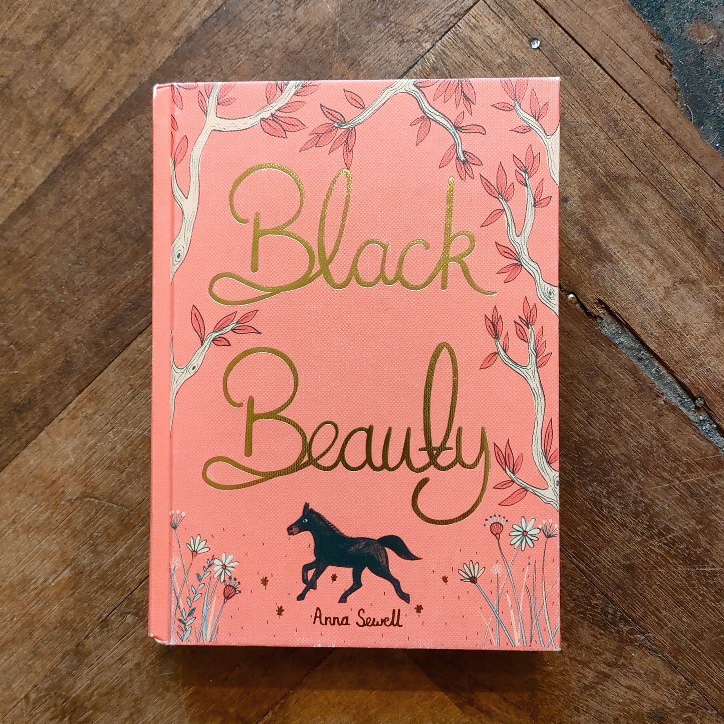 Black Beauty - Anna Sewell
