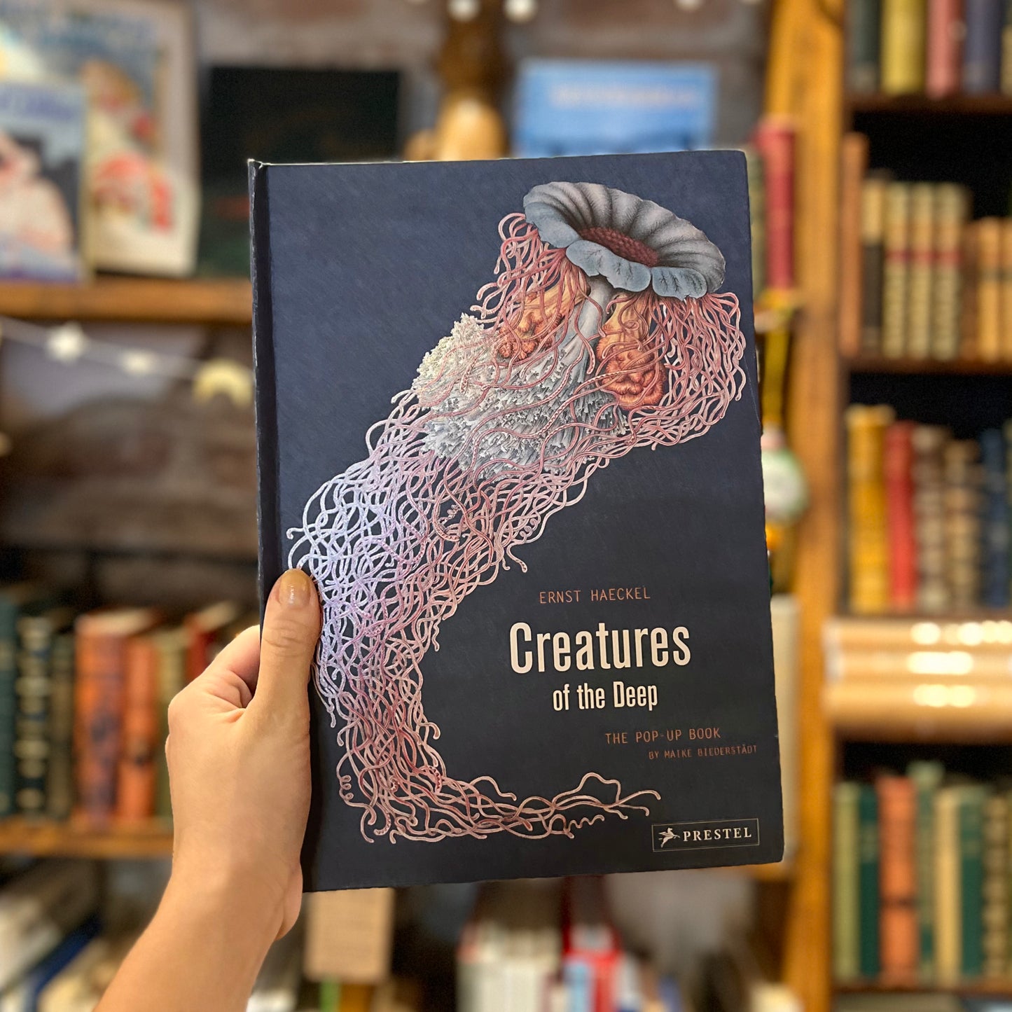 Creatures of the Deep: The Pop-Up Book – Maike Biederstädt