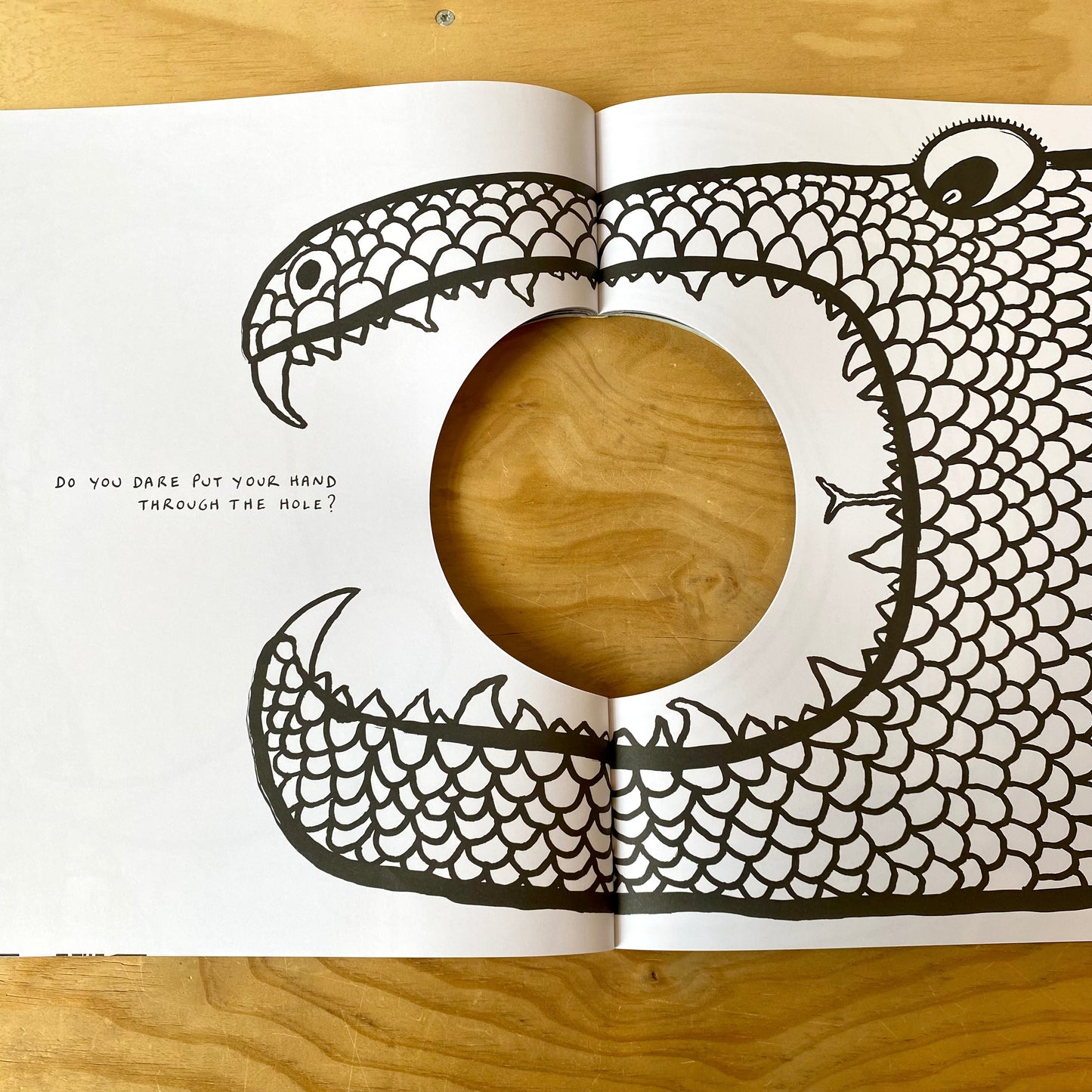 The Book with a Hole - Herve Tullet