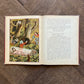 Grimm Brothers' Prettiest Tales (c. 1900)