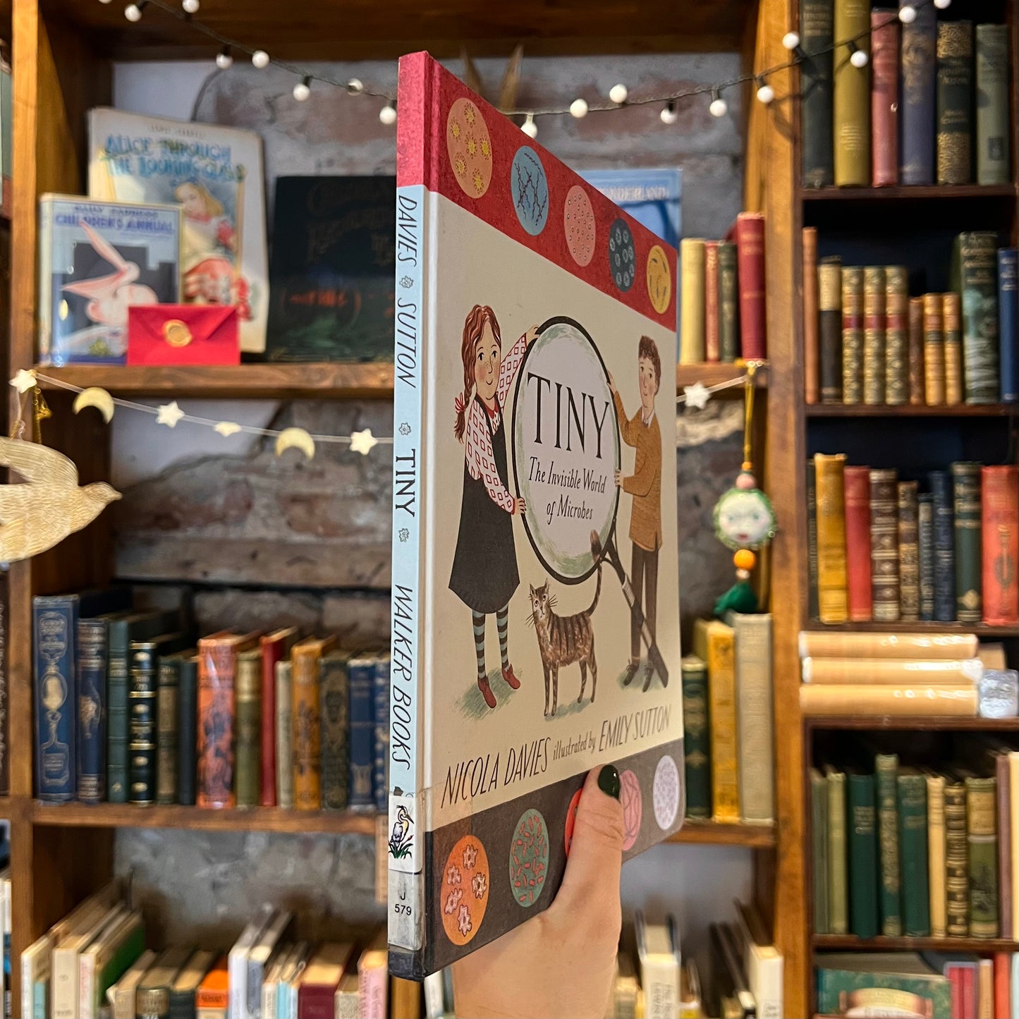 Tiny. The Invisible World of Microbes – Nicola Davies, Emily Sutton