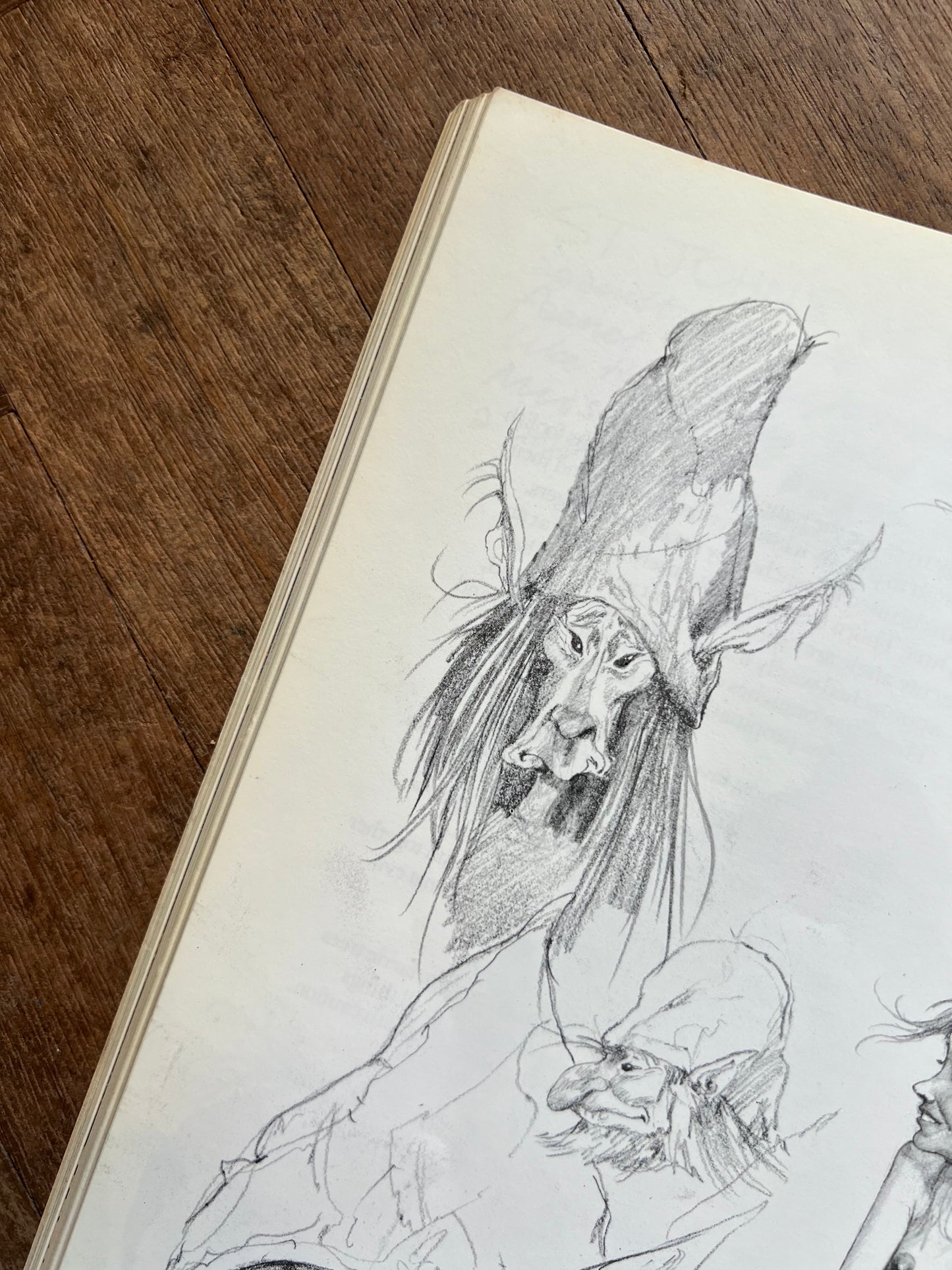 Faeries (1979, First Pan Books Edition) – Brian Froud, Alan Lee