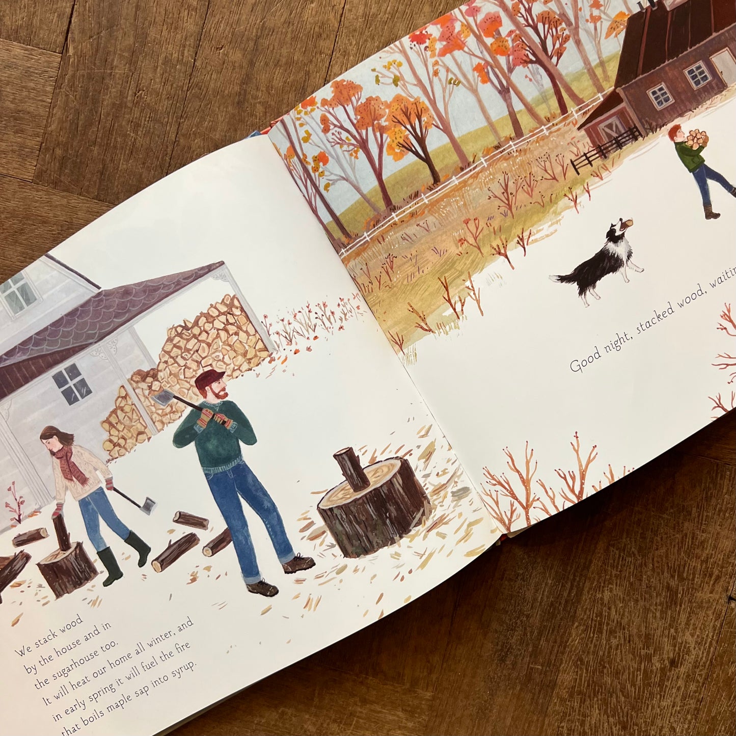 Sleep Tight Farm: A Farm Prepares For Winter – Eugenie Doyle, Becca Stadtlander
