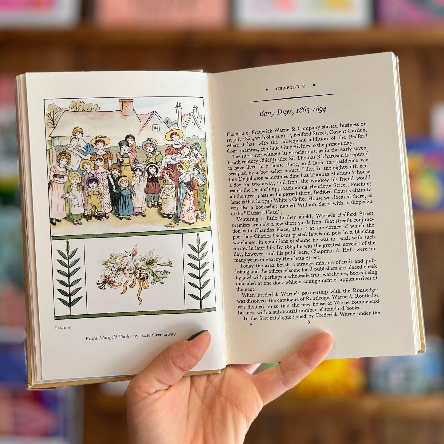 The House of Warne: One Hundred Years of Publishing (1965 First Edition) – Arthur King and A. F. Stuart