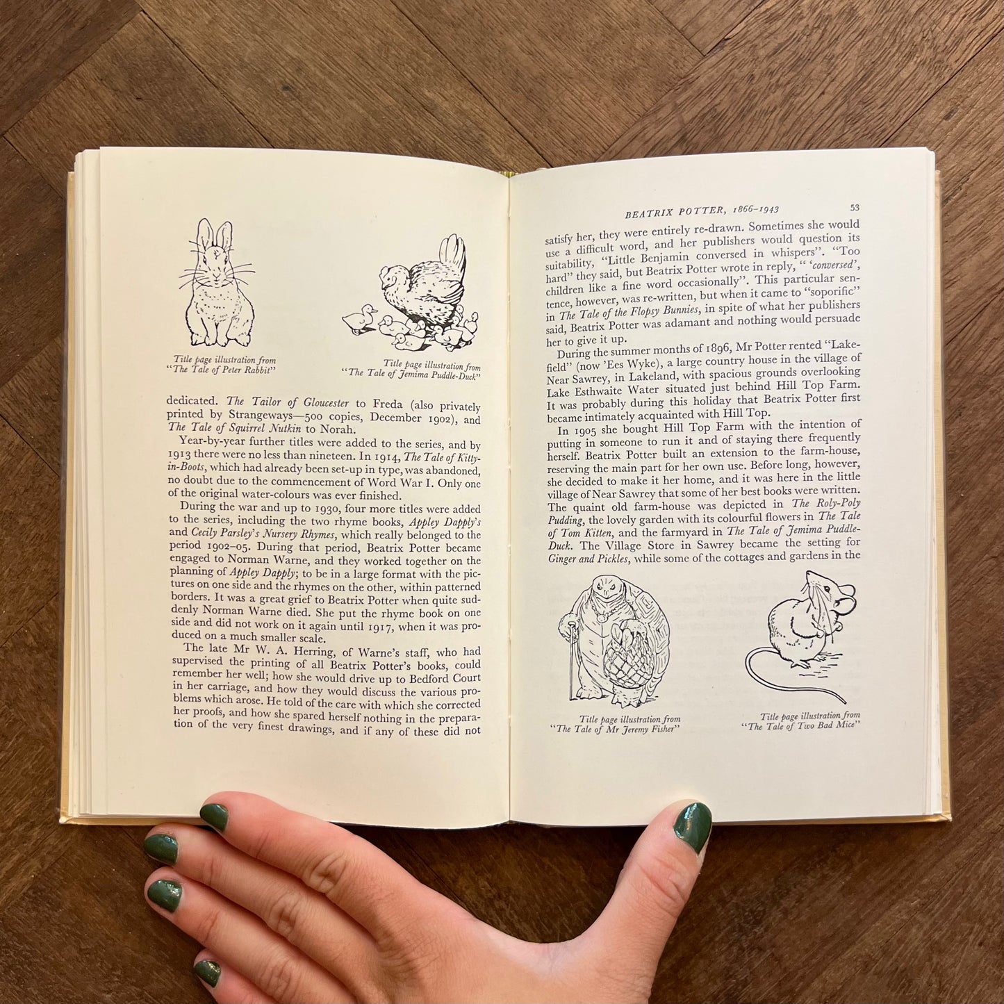 The House of Warne: One Hundred Years of Publishing (1965 First Edition) – Arthur King and A. F. Stuart