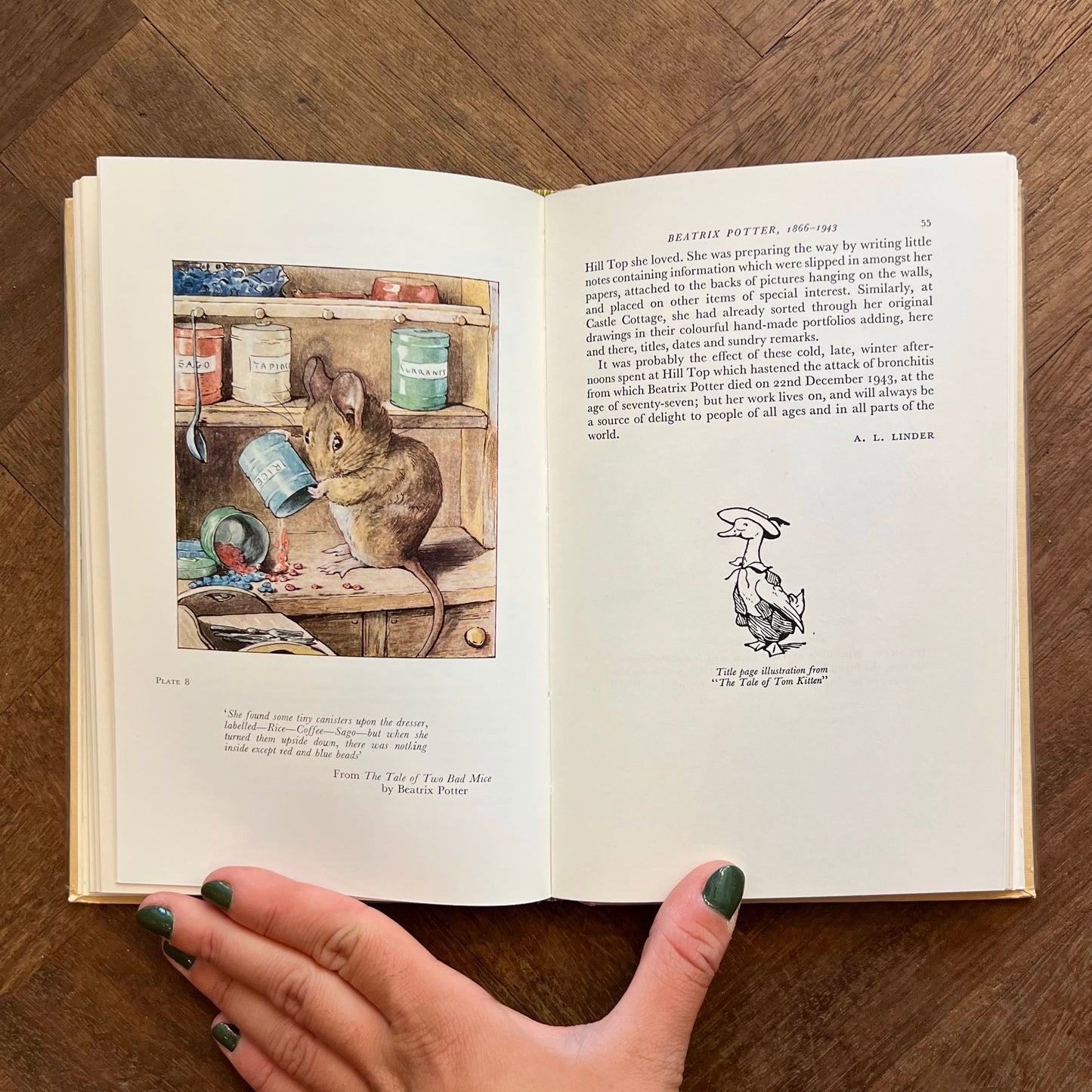 The House of Warne: One Hundred Years of Publishing (1965 First Edition) – Arthur King and A. F. Stuart