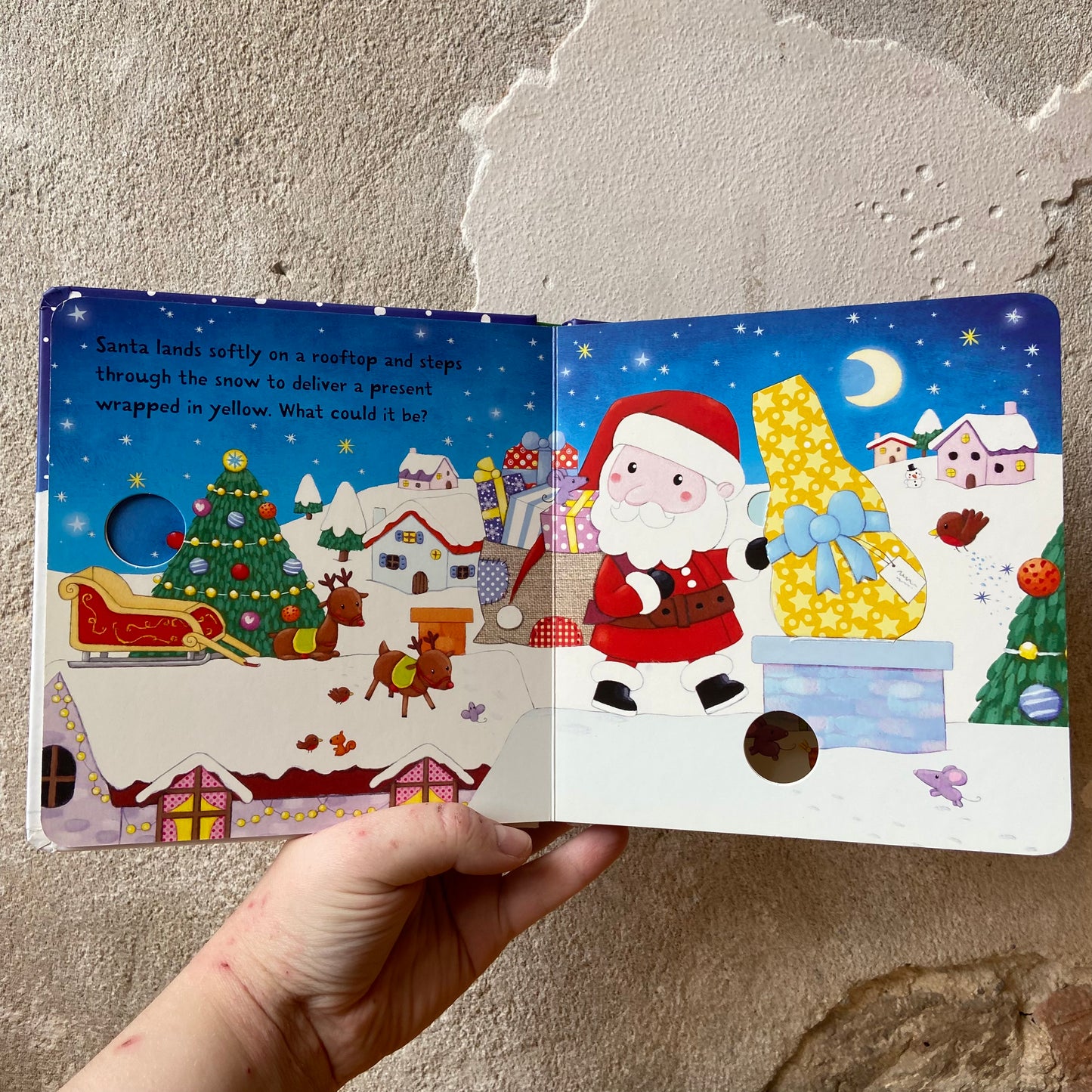 Usborne Santa Flap Book – Sam Taplin and Rosalinde Bonnet