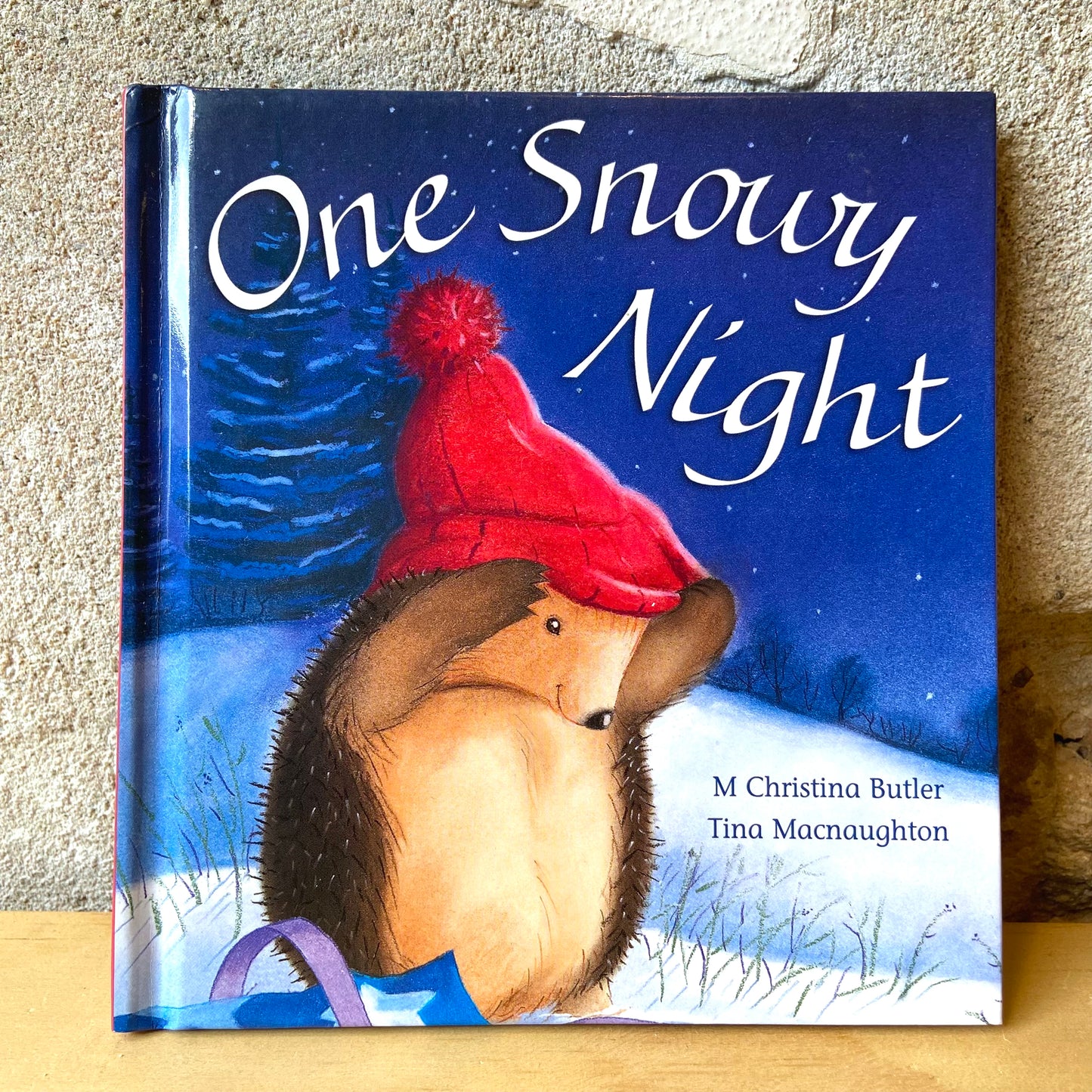 One Snowy Night – M Christina Butler and Tina Macnaughton