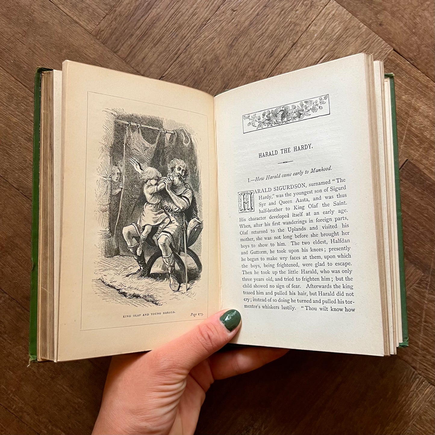 Heroes of the North, or Stories from Norwegian Chronicle – F. Scarlett Potter
