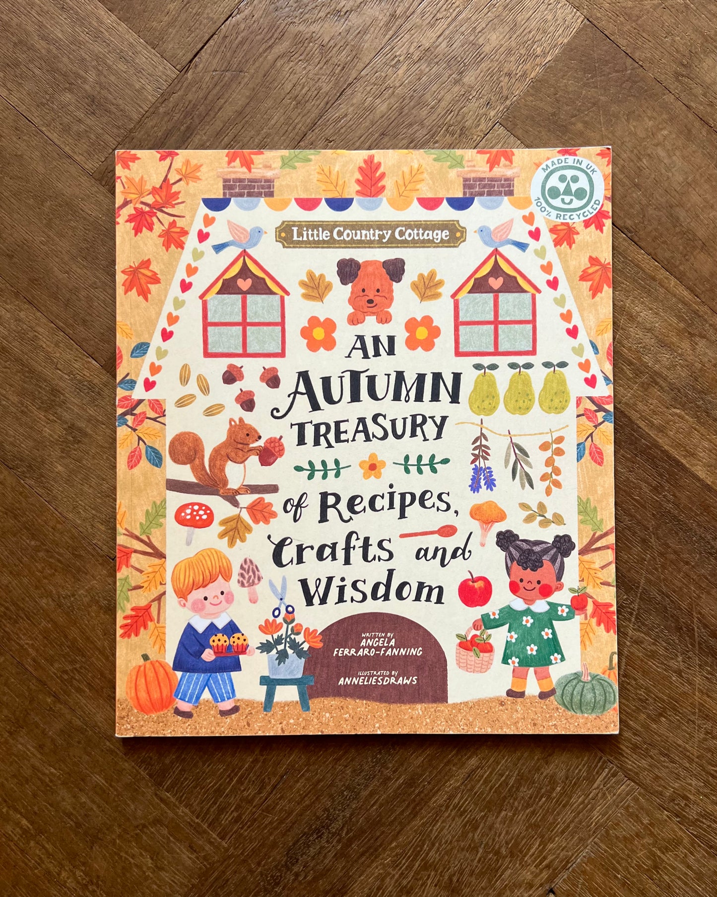 An Autumn Treasury of Recipes, Crafts, and Wisdom – Angela Ferraro-Fanning and Anneliesdraws