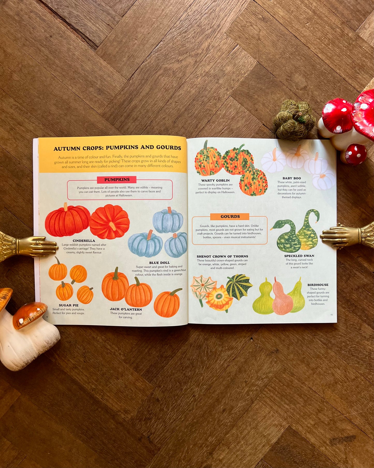 An Autumn Treasury of Recipes, Crafts, and Wisdom – Angela Ferraro-Fanning and Anneliesdraws