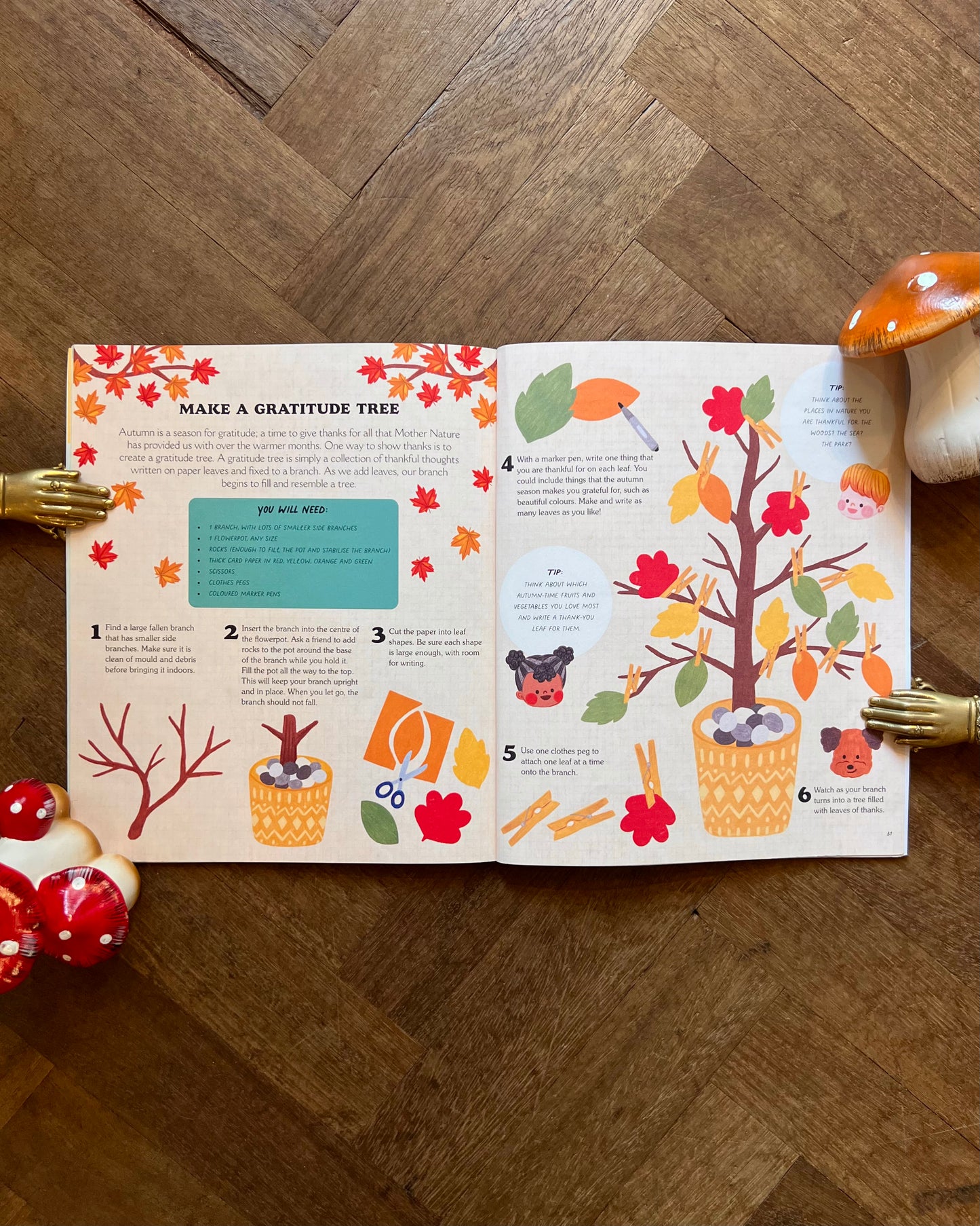 An Autumn Treasury of Recipes, Crafts, and Wisdom – Angela Ferraro-Fanning and Anneliesdraws