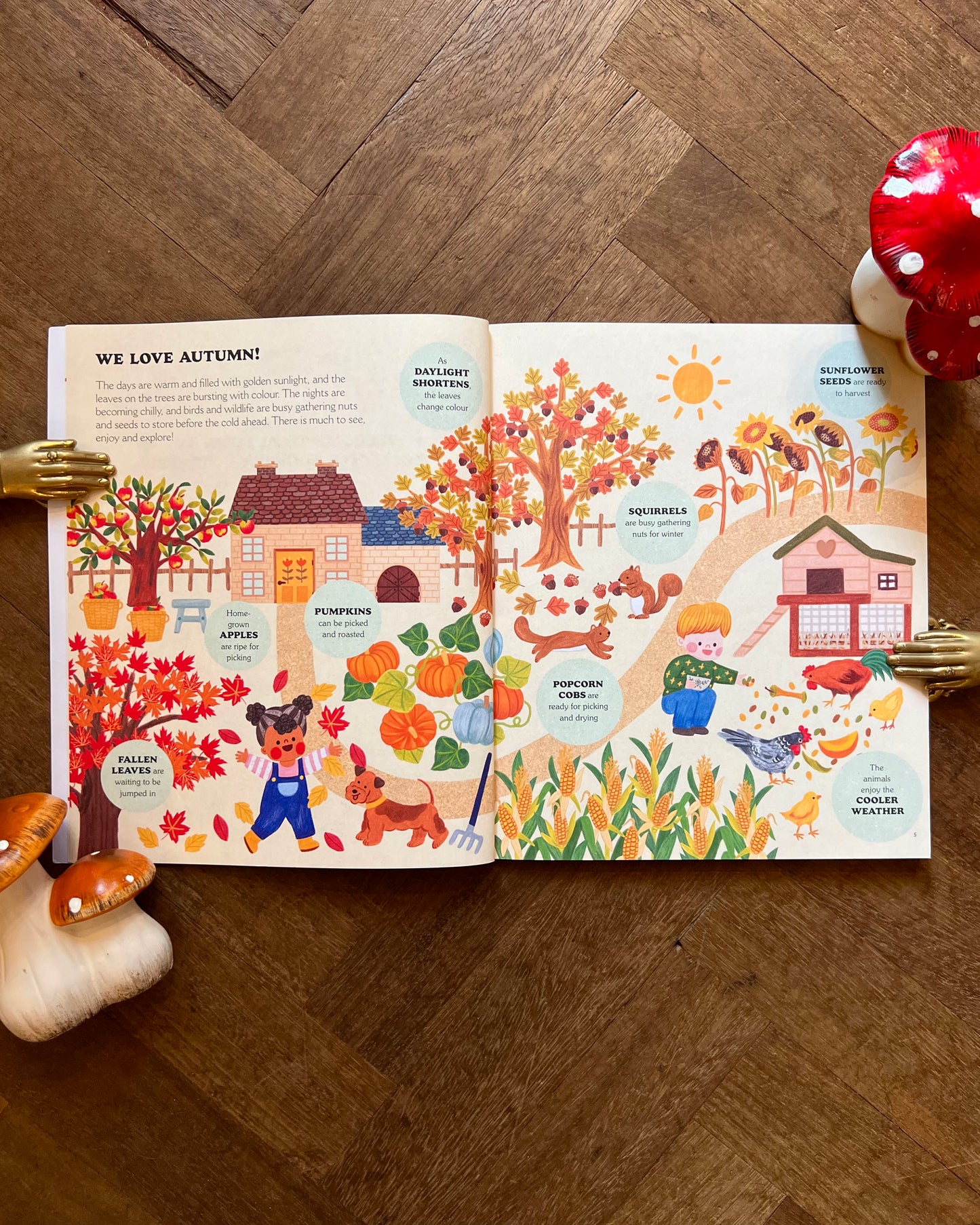 An Autumn Treasury of Recipes, Crafts, and Wisdom – Angela Ferraro-Fanning and Anneliesdraws