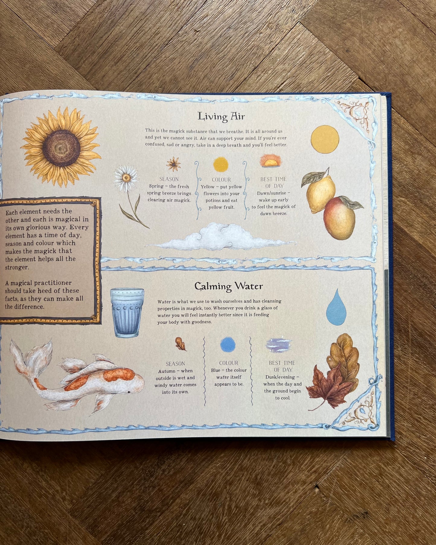 A Natural History of Magick - Poppy David, Jessica Roux