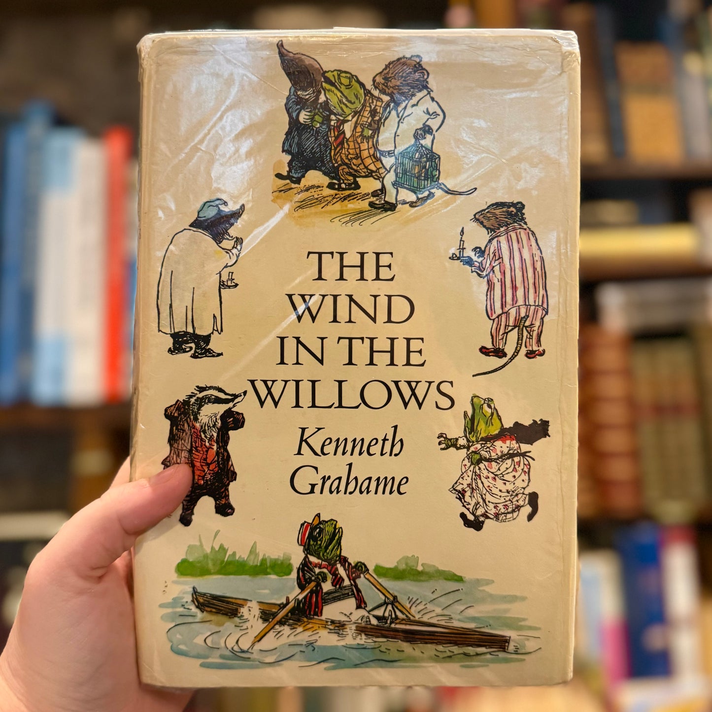 The Wind in the Willows (First Colour Edition) – Kenneth Grahame