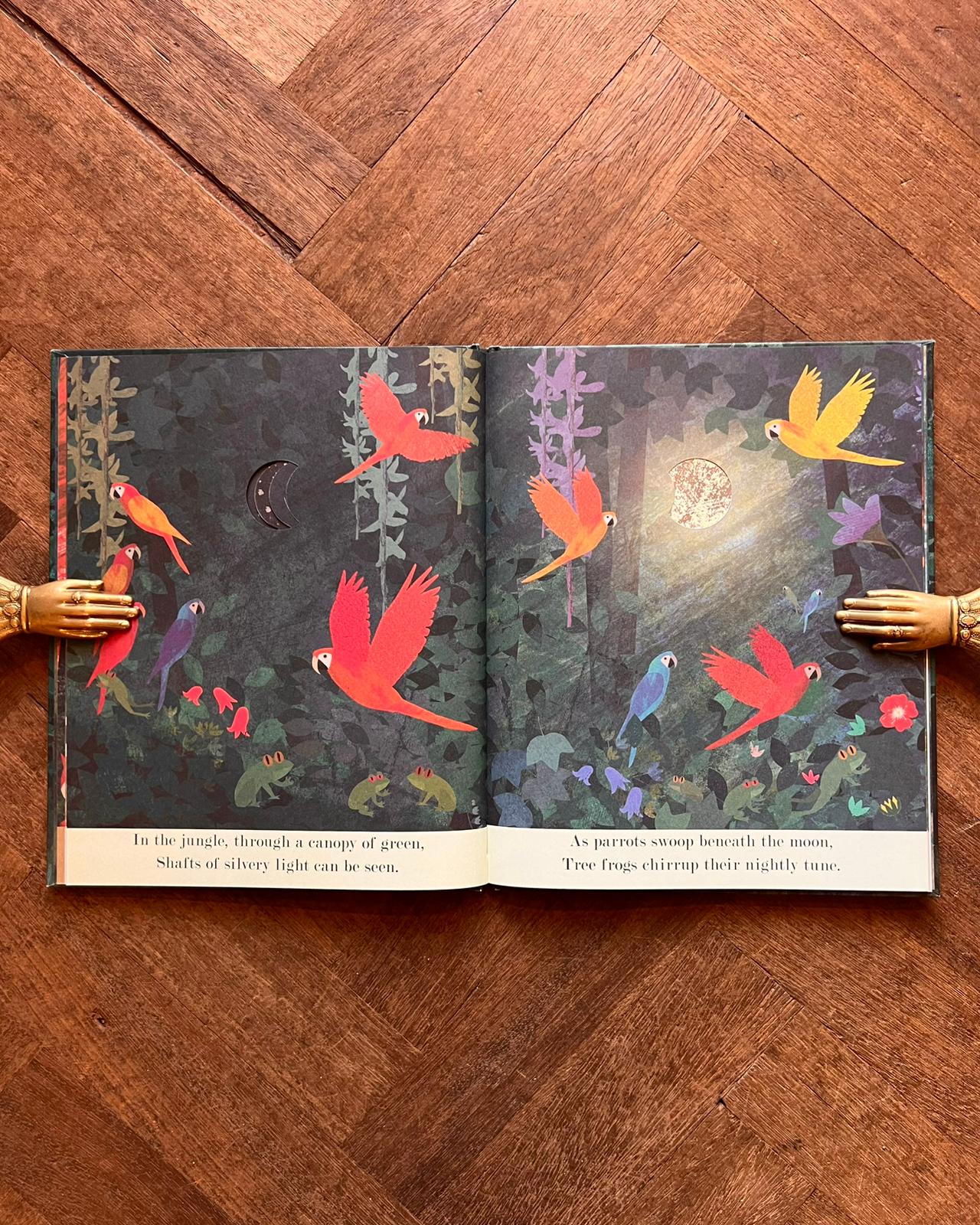 Moon (2017 First Edition) – Britta Teckentrup