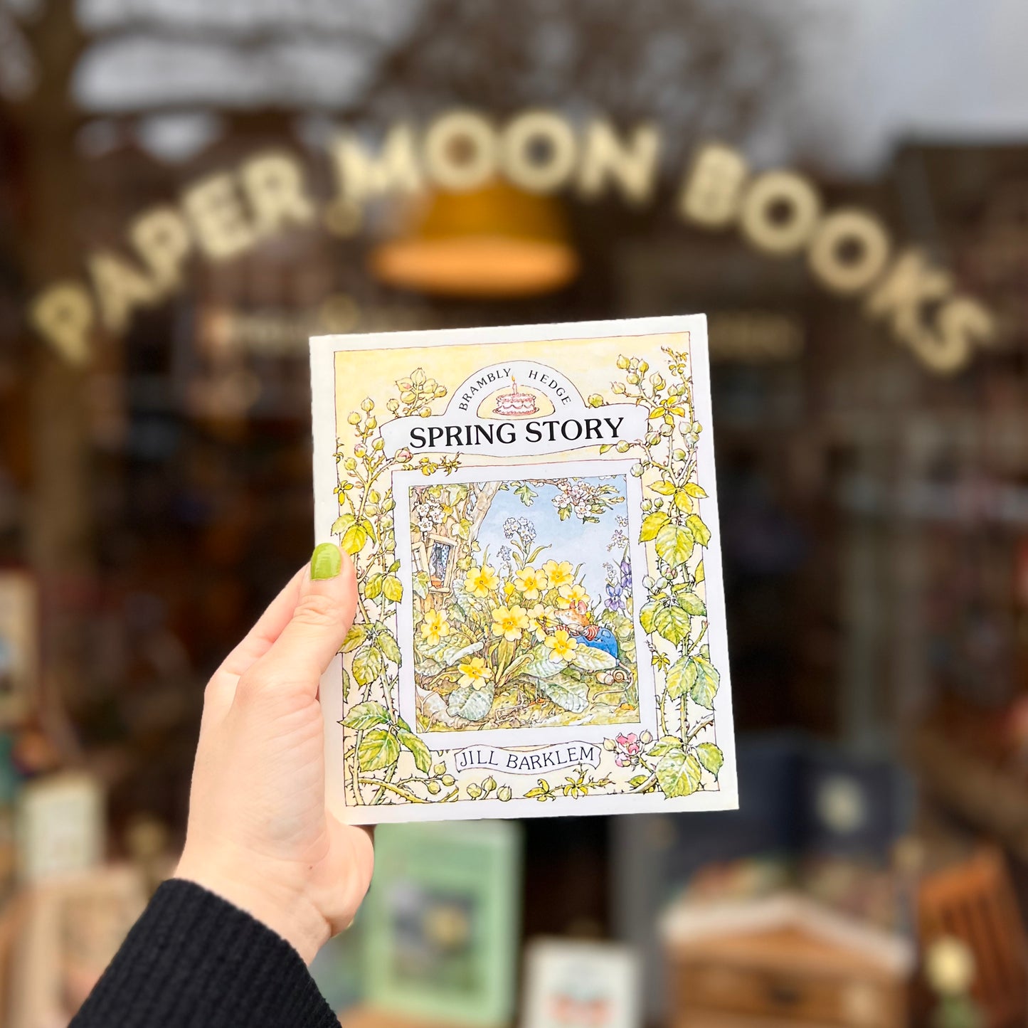 Brambly Hedge Spring Story - Jill Barklem