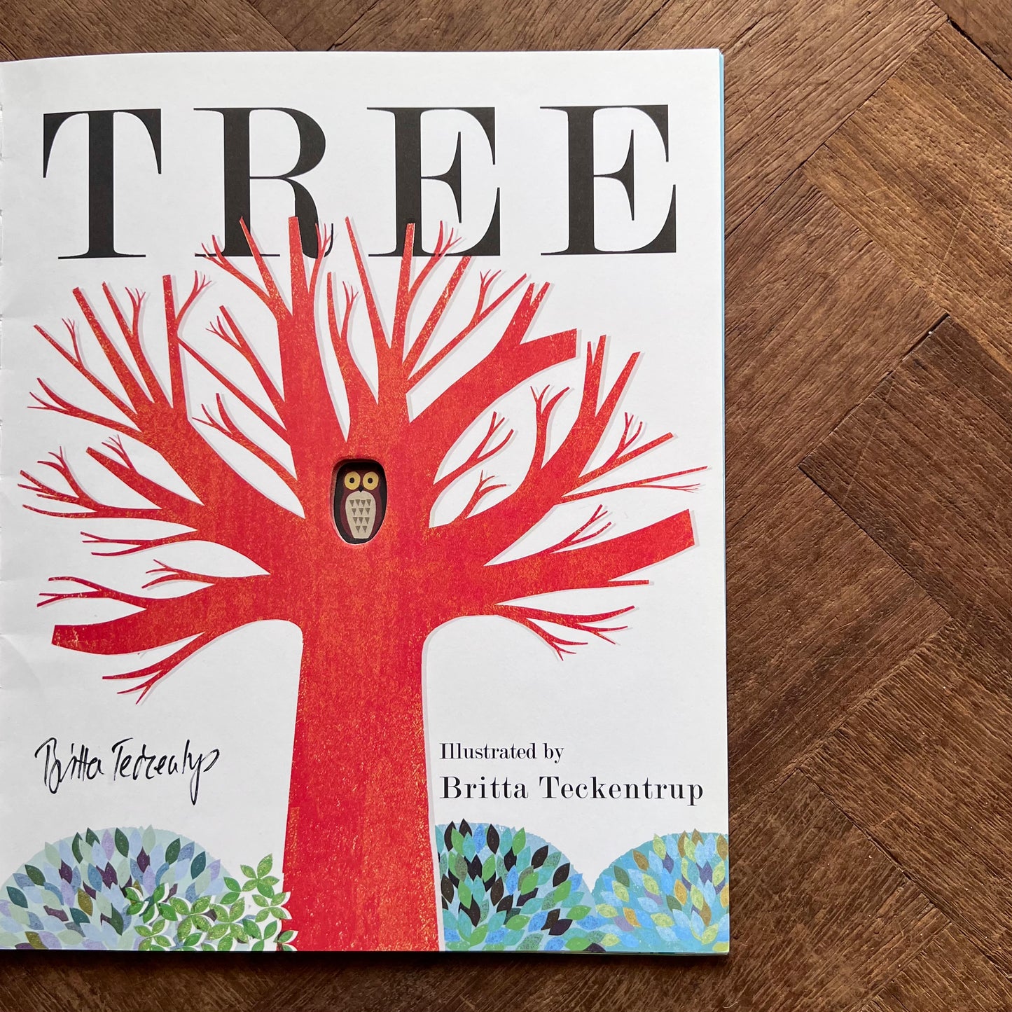 Tree (Signed) – Britta Teckentrup