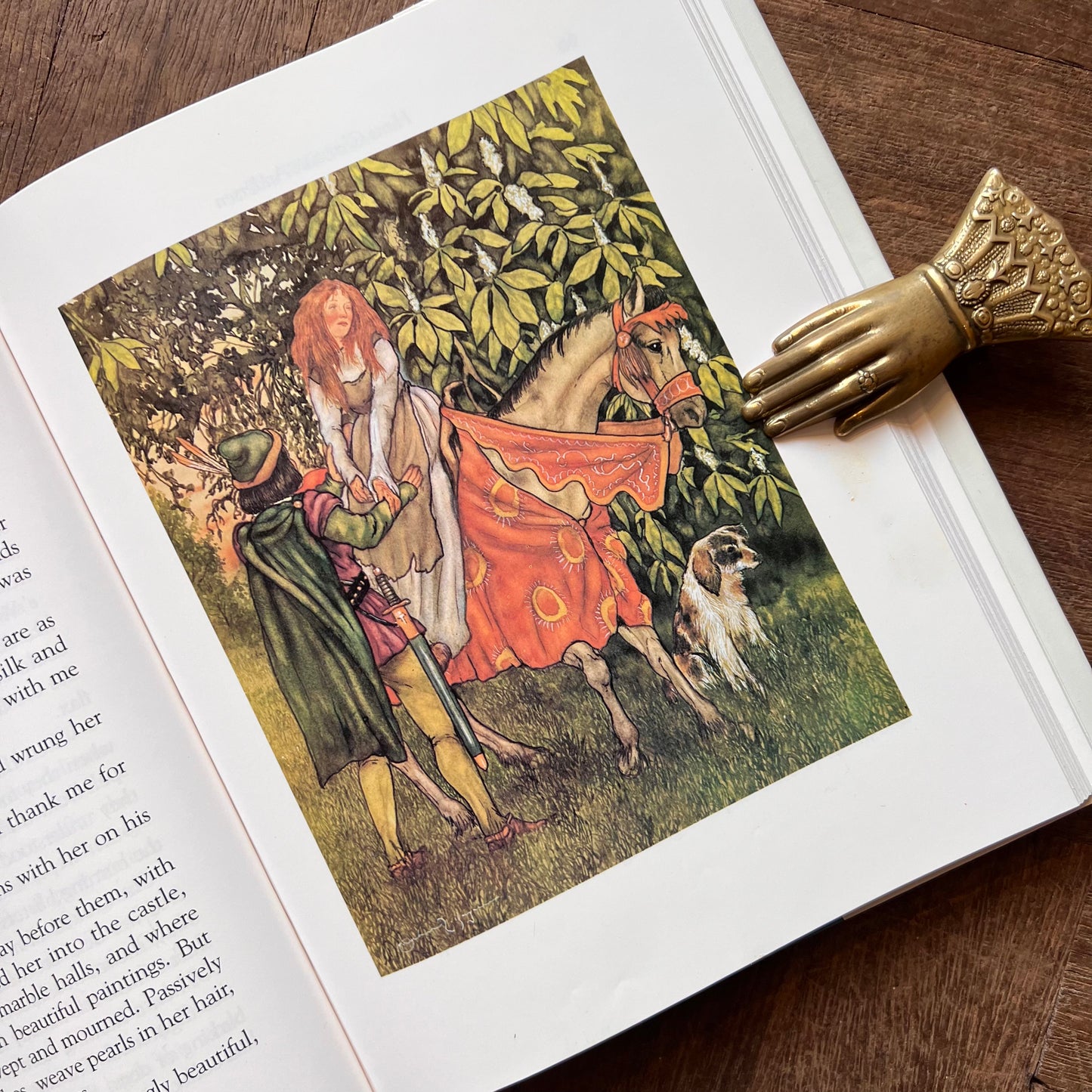 Michael Hague's Favourite Hans Christian Andersen Fairy Tales - Hans Christian Andersen, Michael Hague